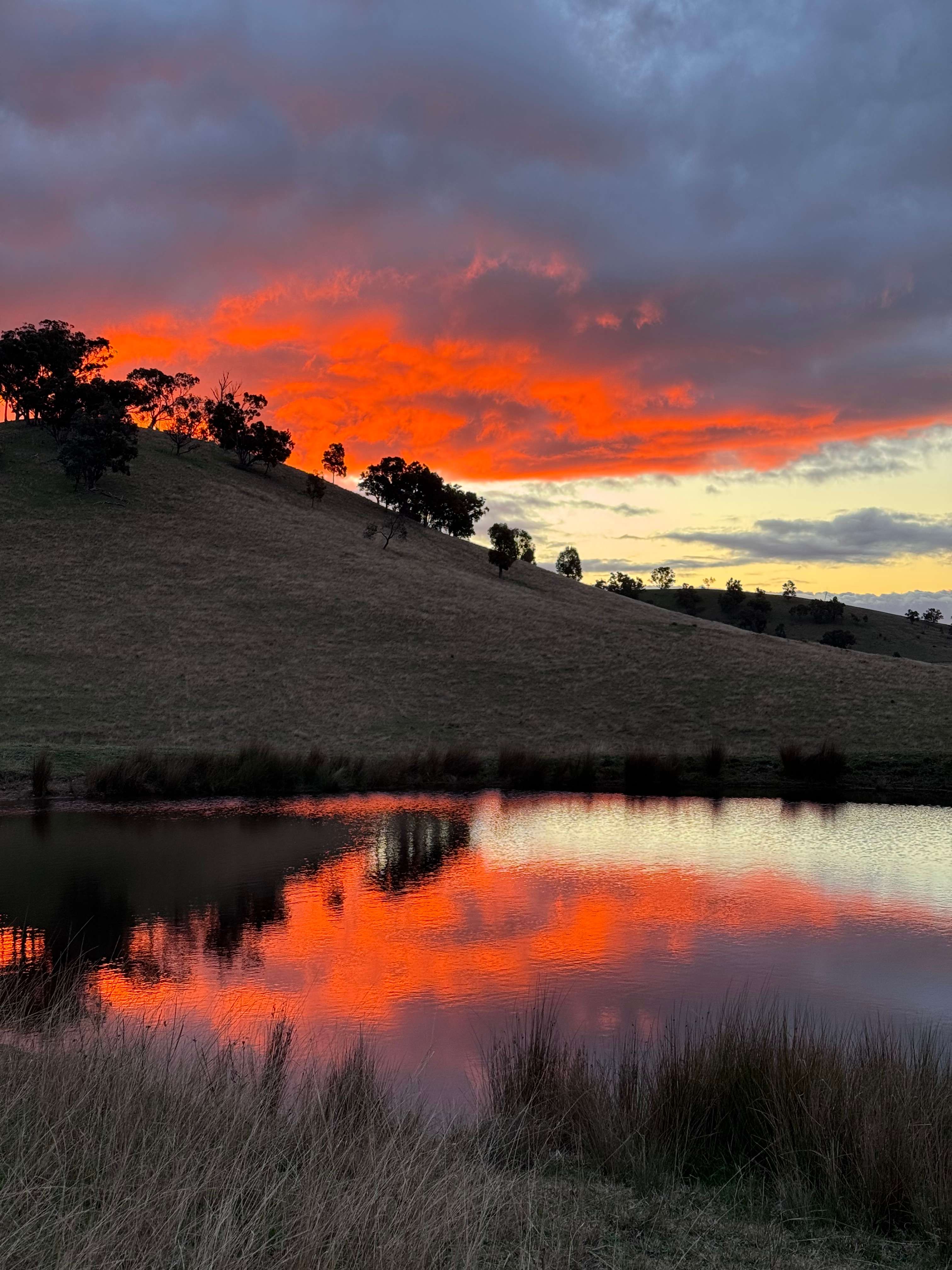 Hillsdale Farm Mudgee - 4WD Access