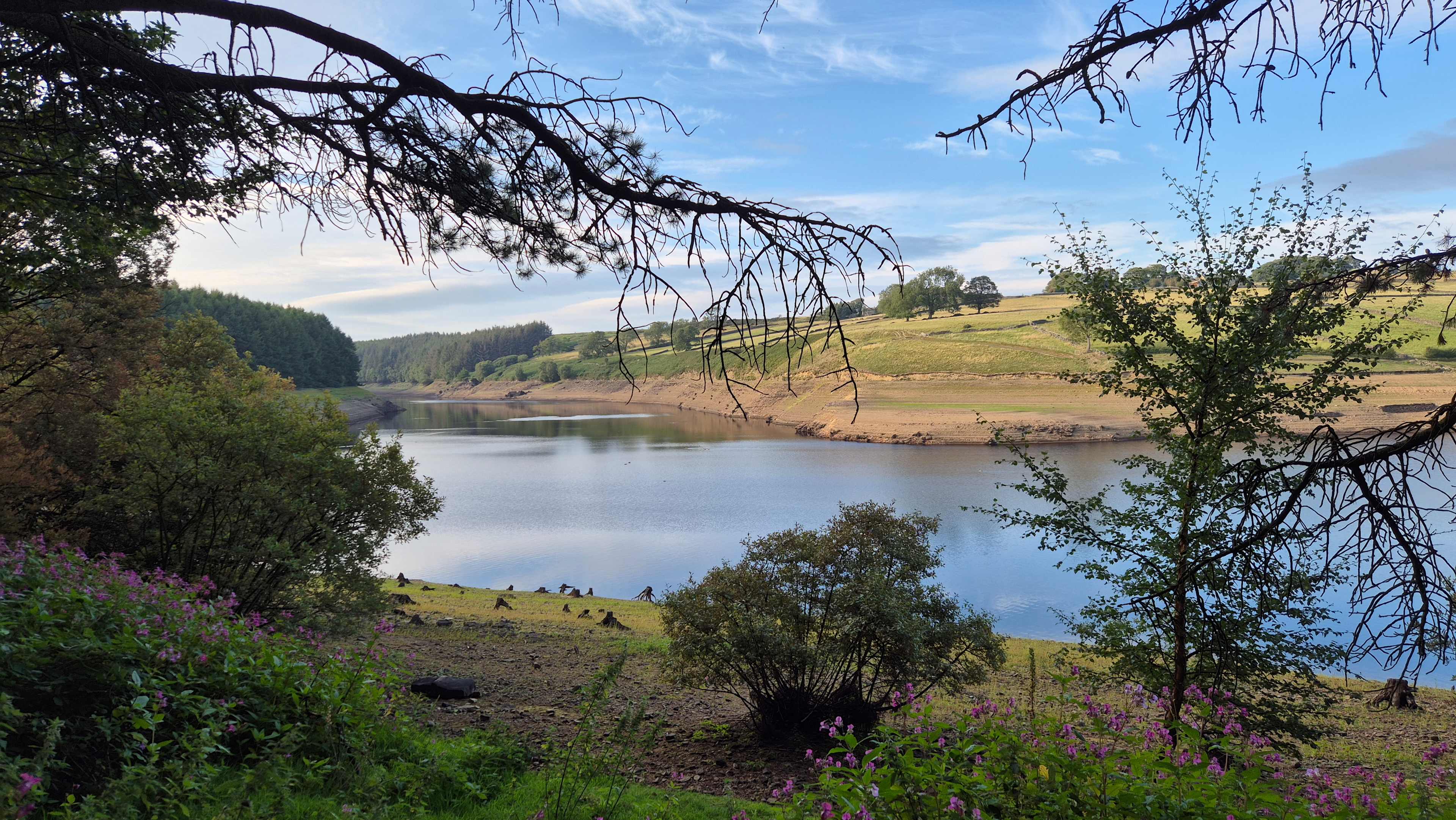 Breaks Fold Farm Glamping & Camping