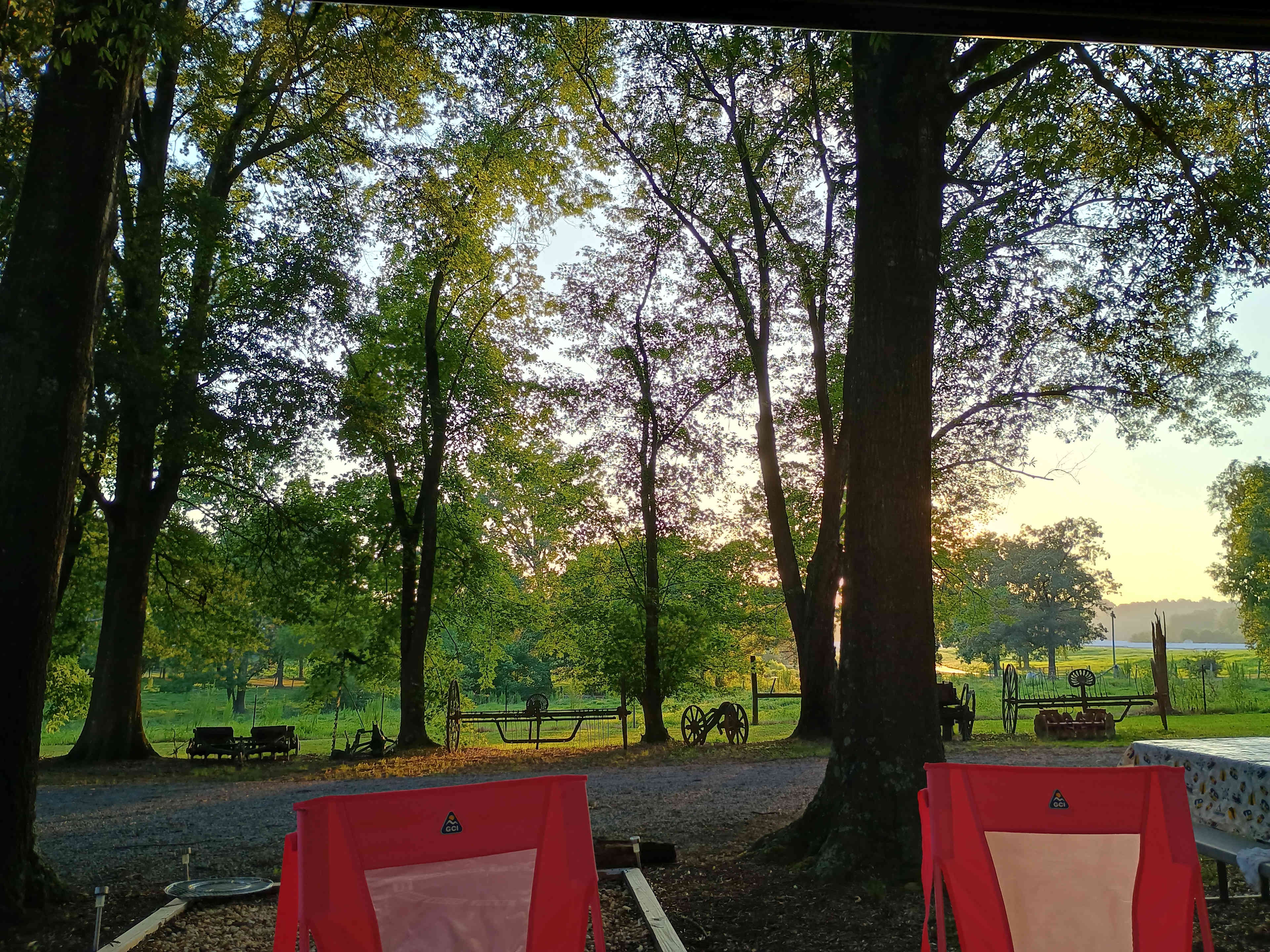 Beautiful shaded oak tree canopy.
