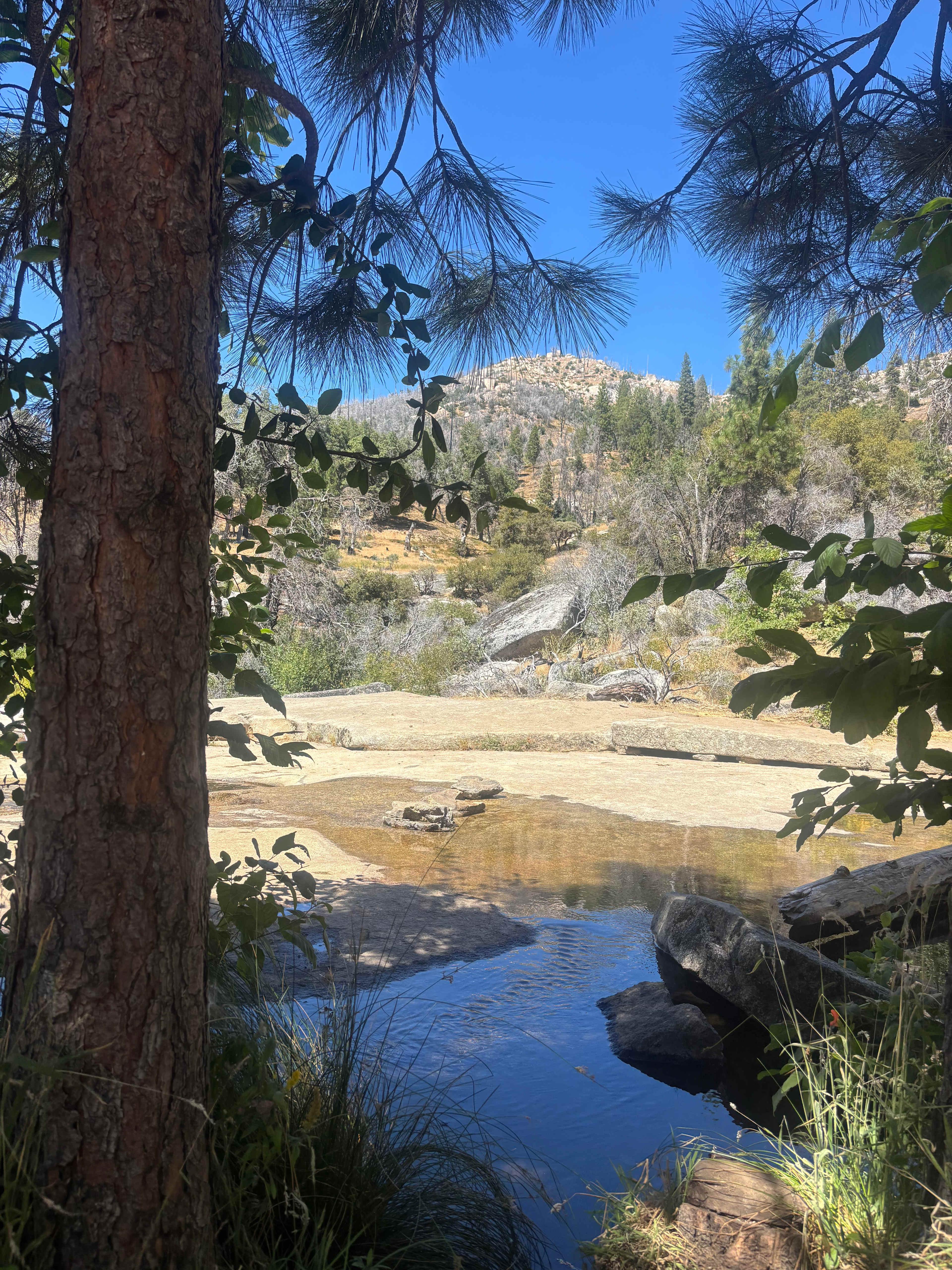 Musick Creek Falls  by Shaver Lake