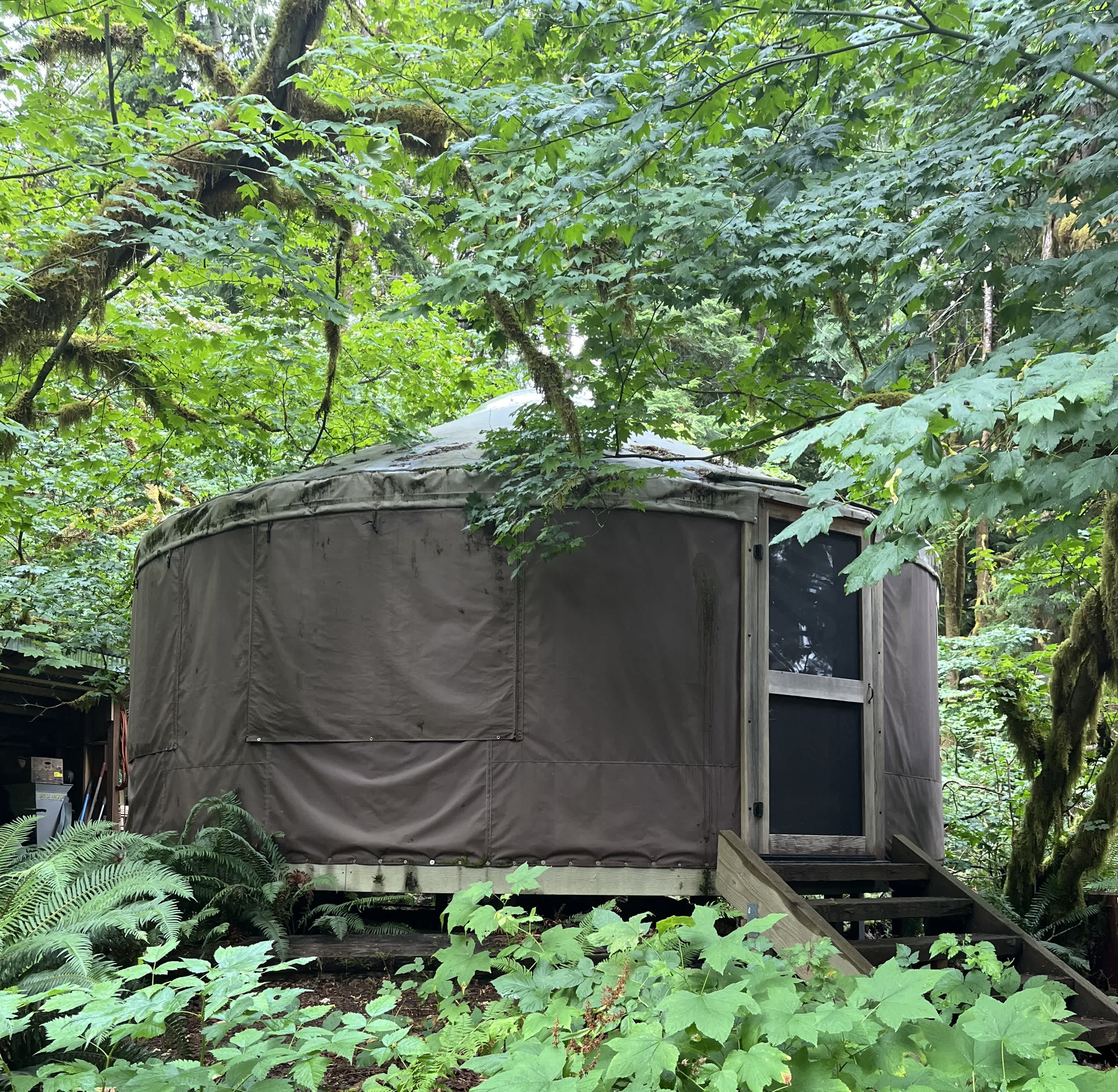 North Stilly River Yurt