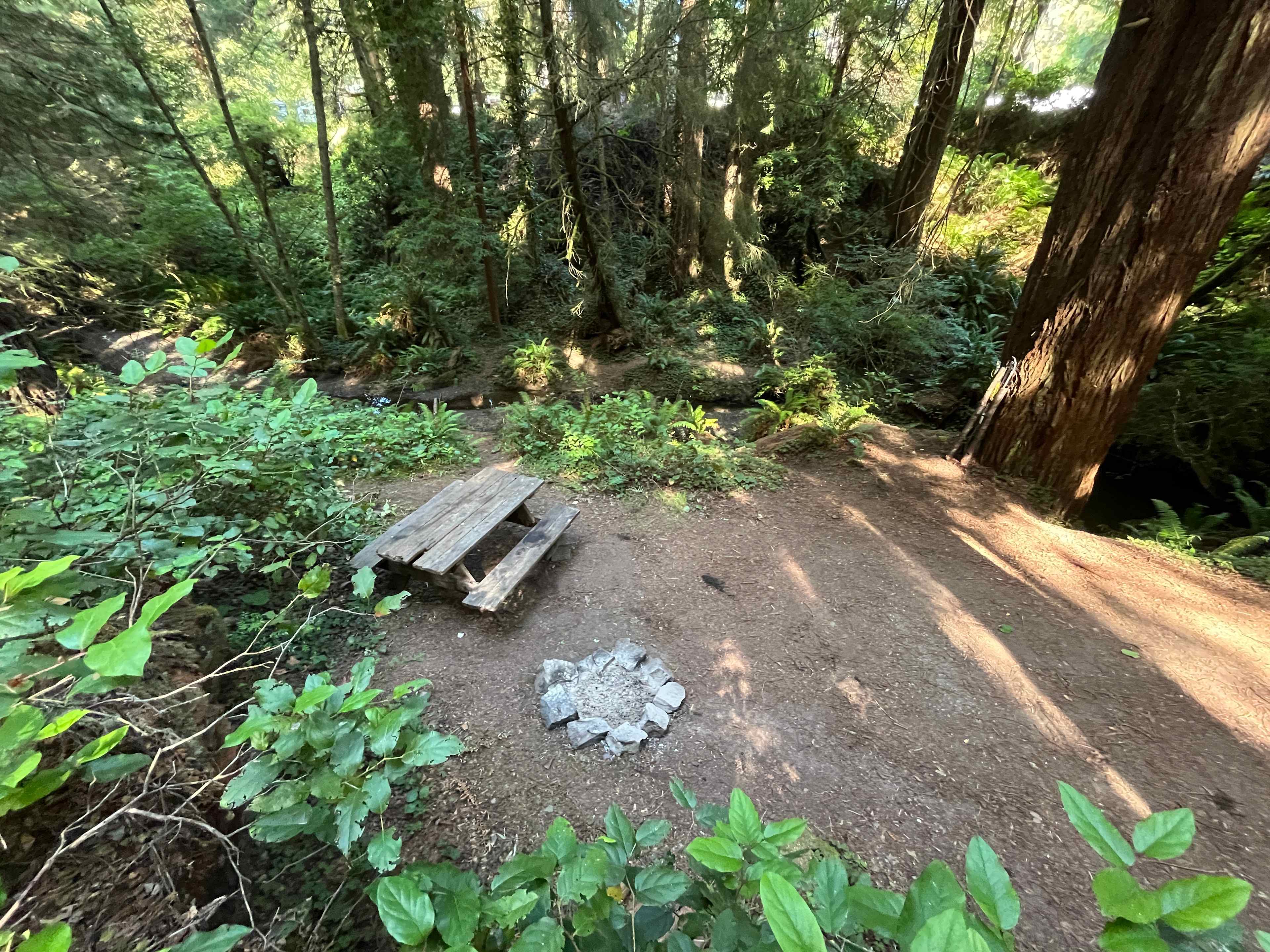 Sylvan Harbor RV Camp & Cabins