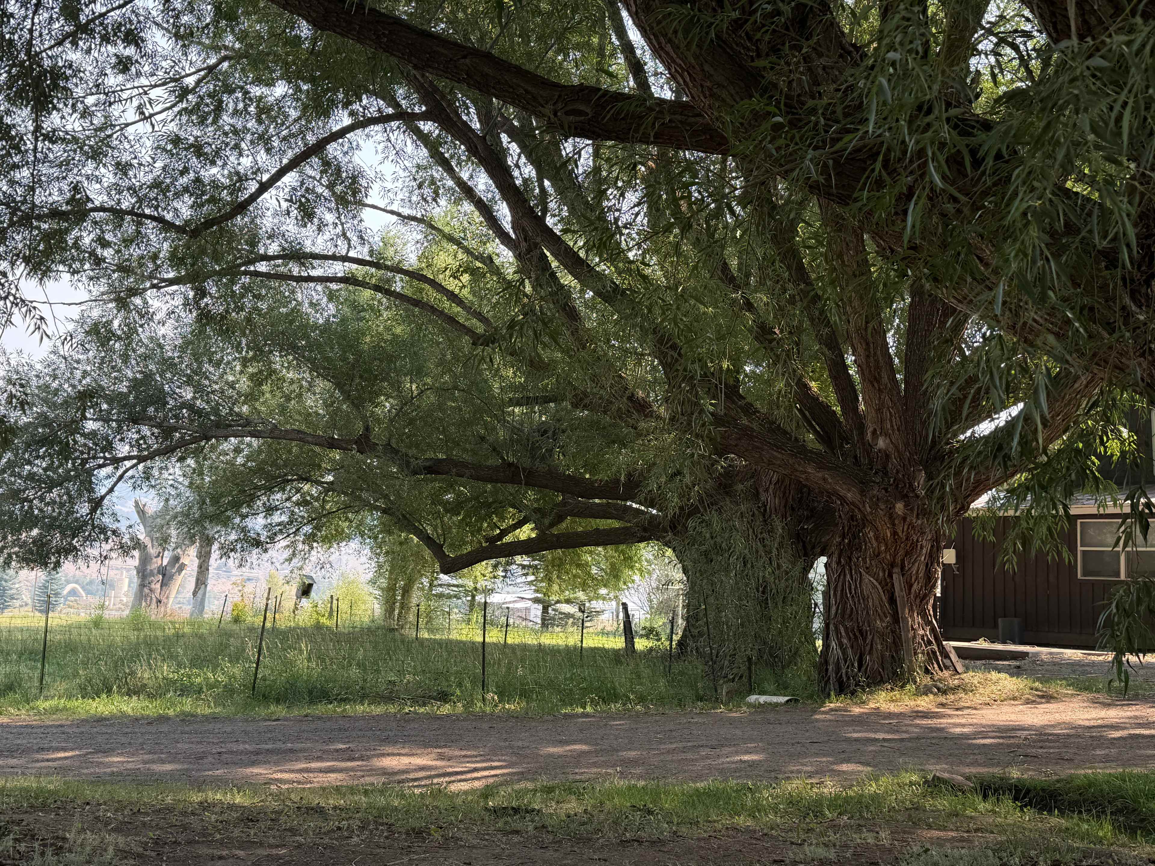 Vail Valley BackCountry Access