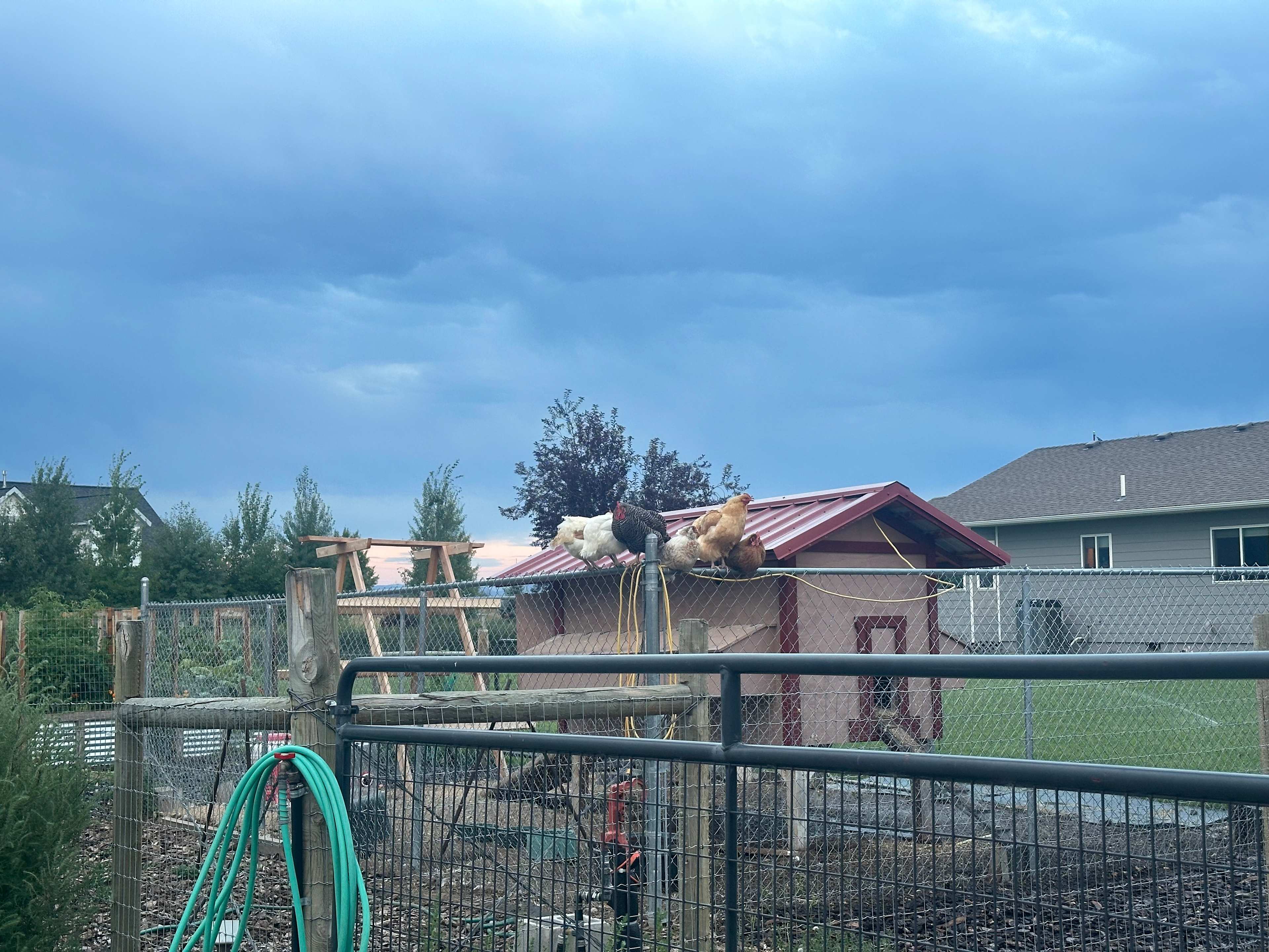 Wildhorse Ranch and Rentals