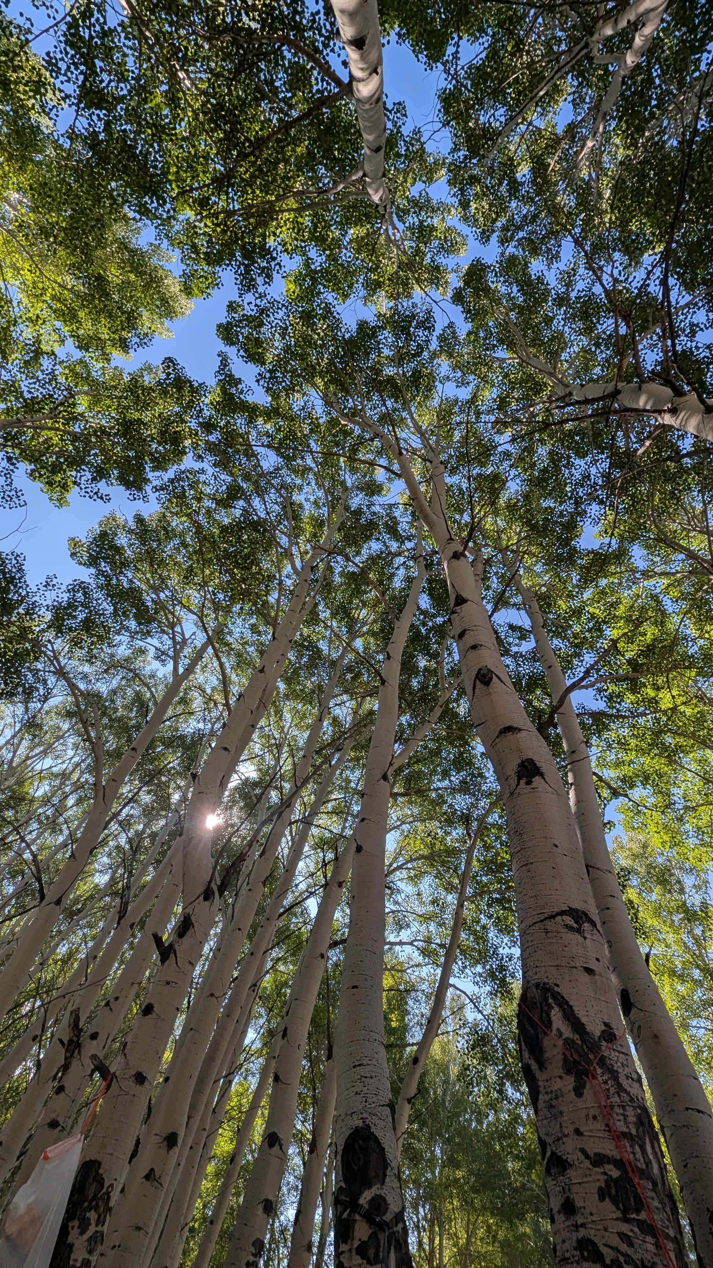 Frenchman's Creek Ranch