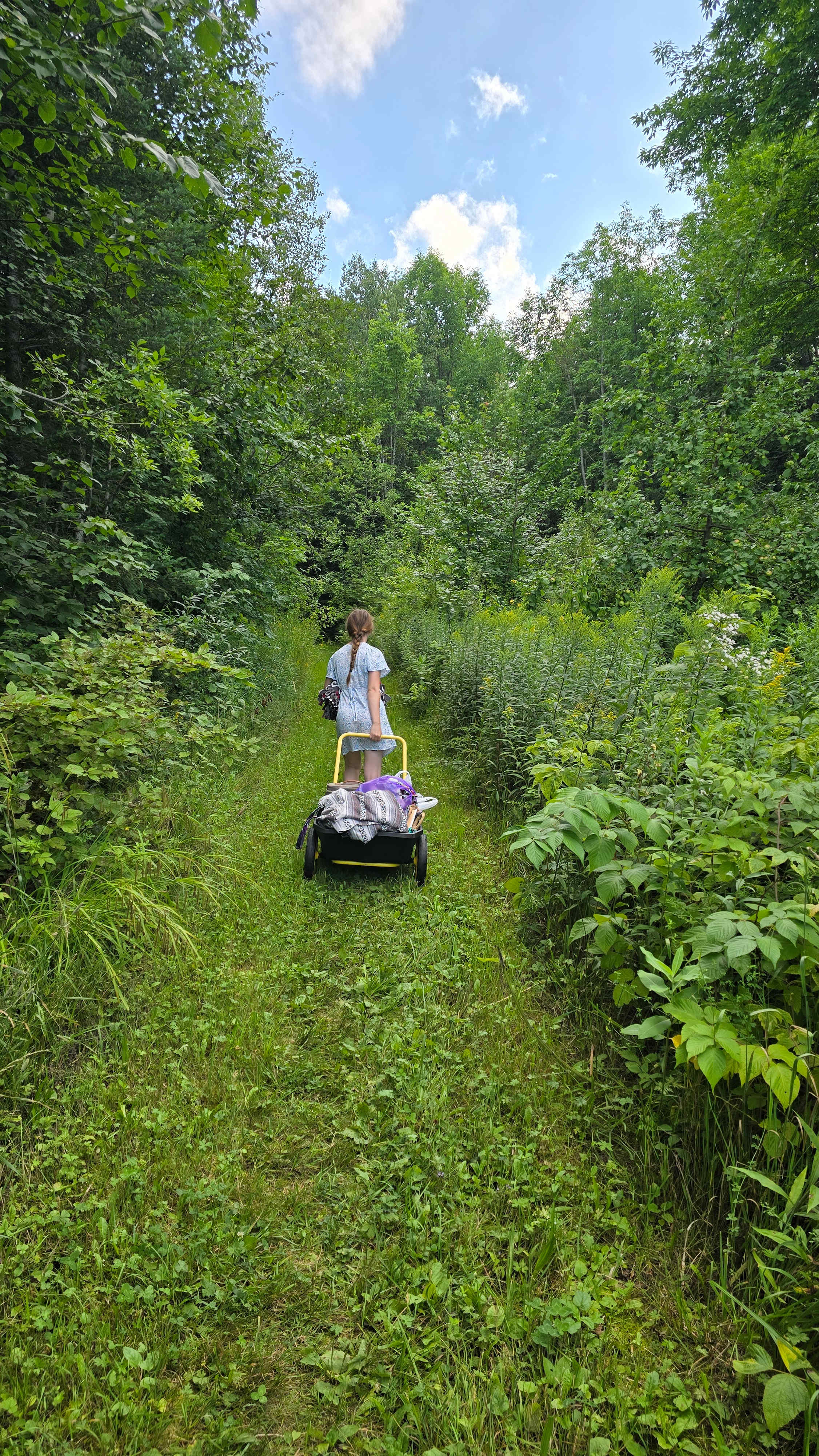 Easy walk to our tent