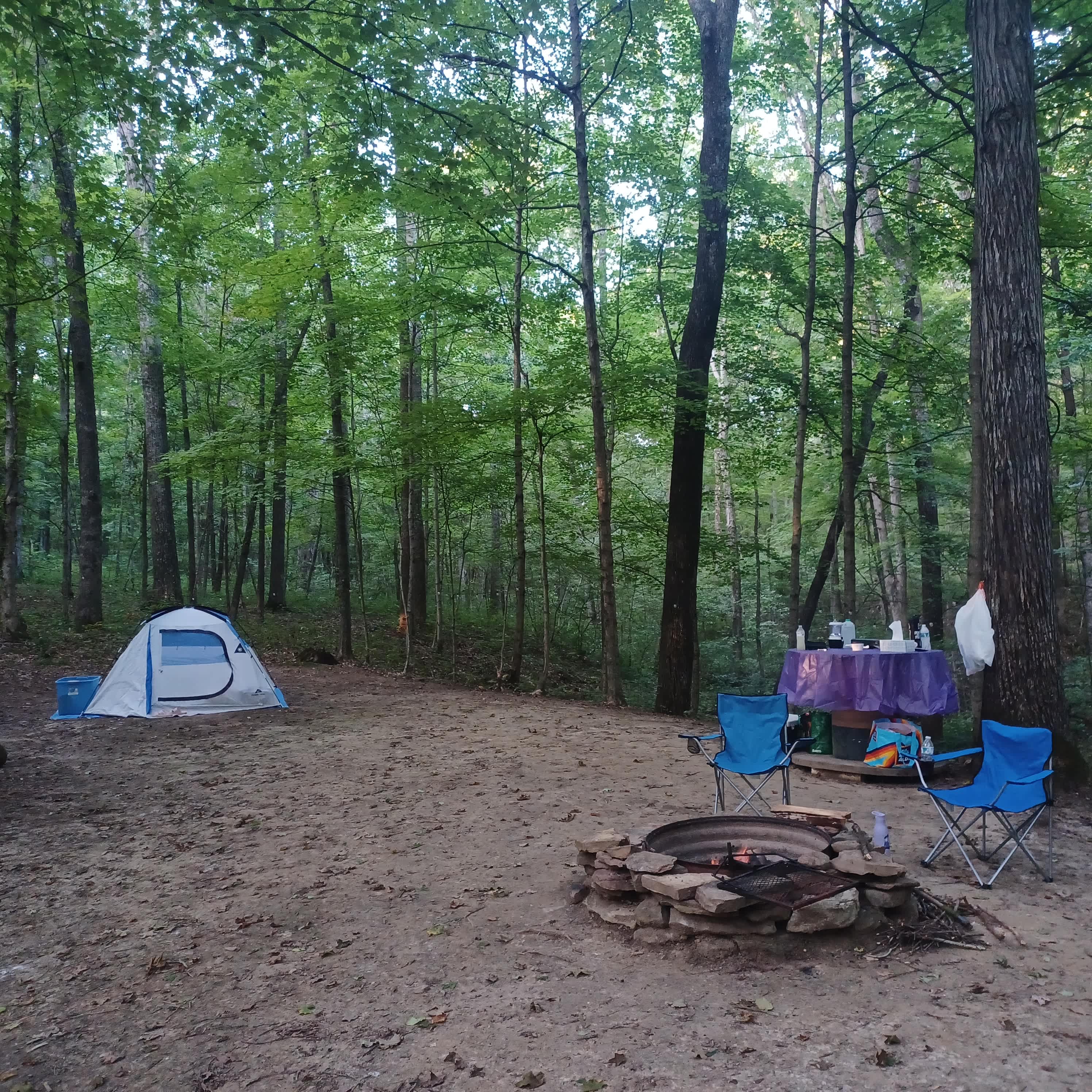 Private Forest Campsite