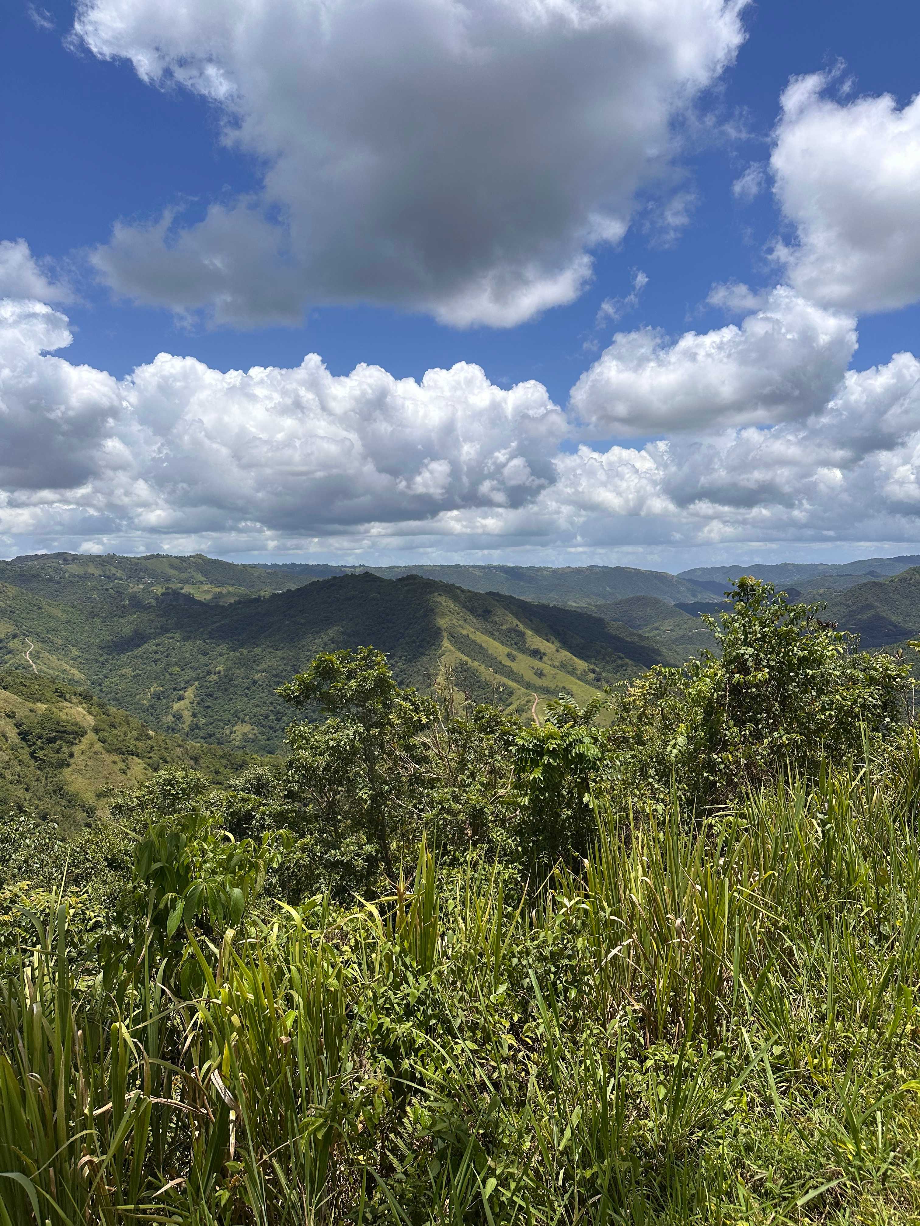 The views from tent site