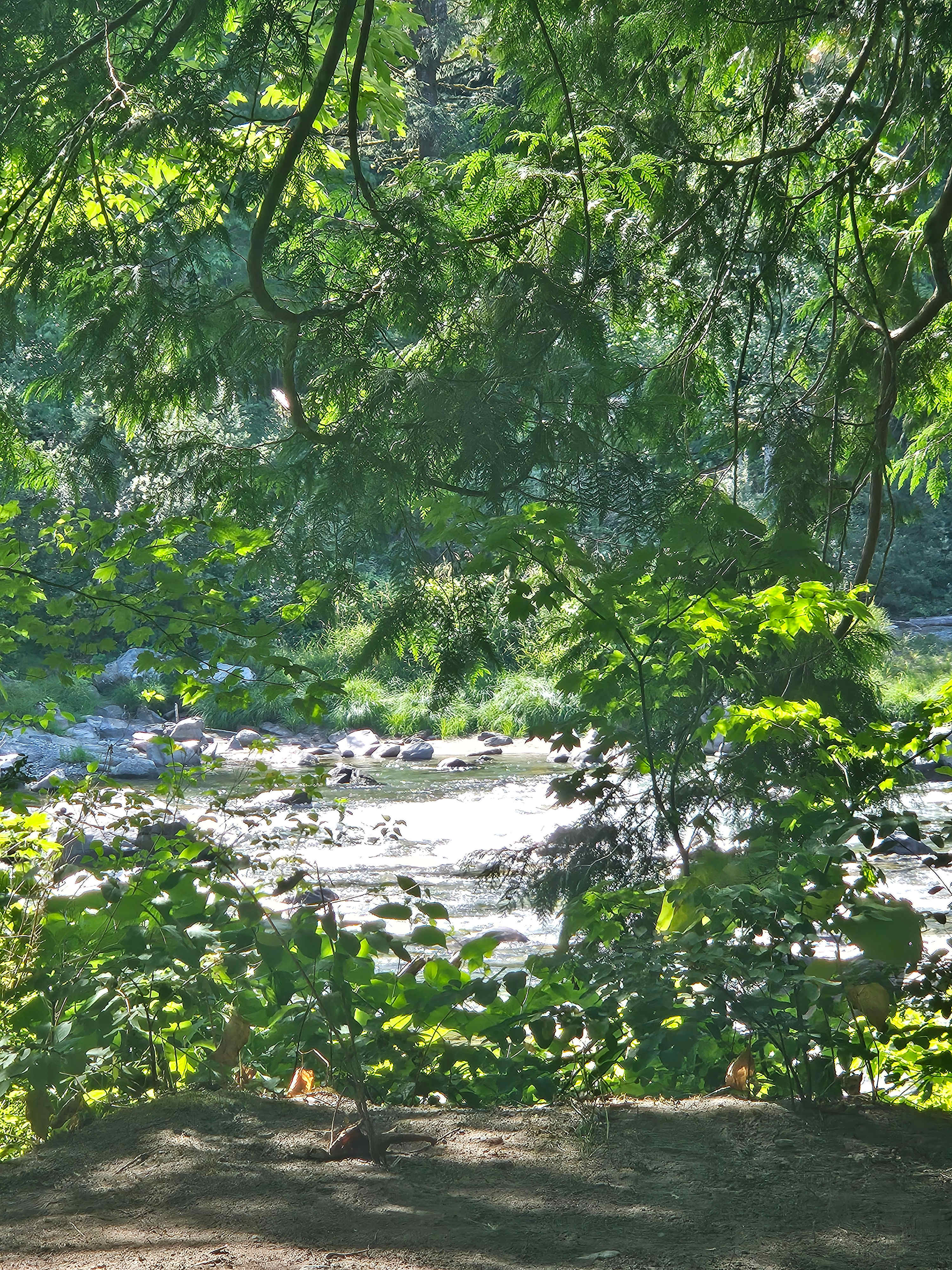 The Landing at Index WA