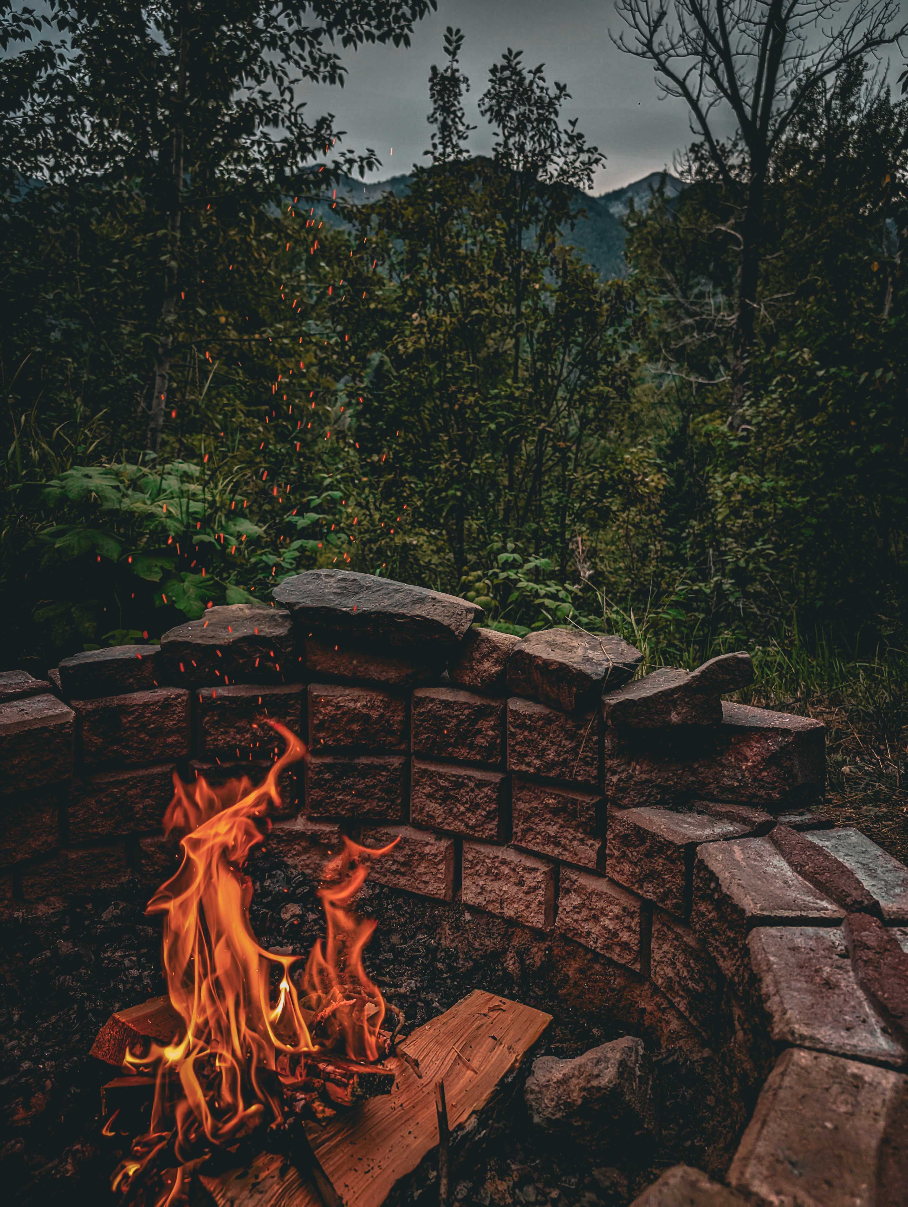 Thistle Dew in Fernie