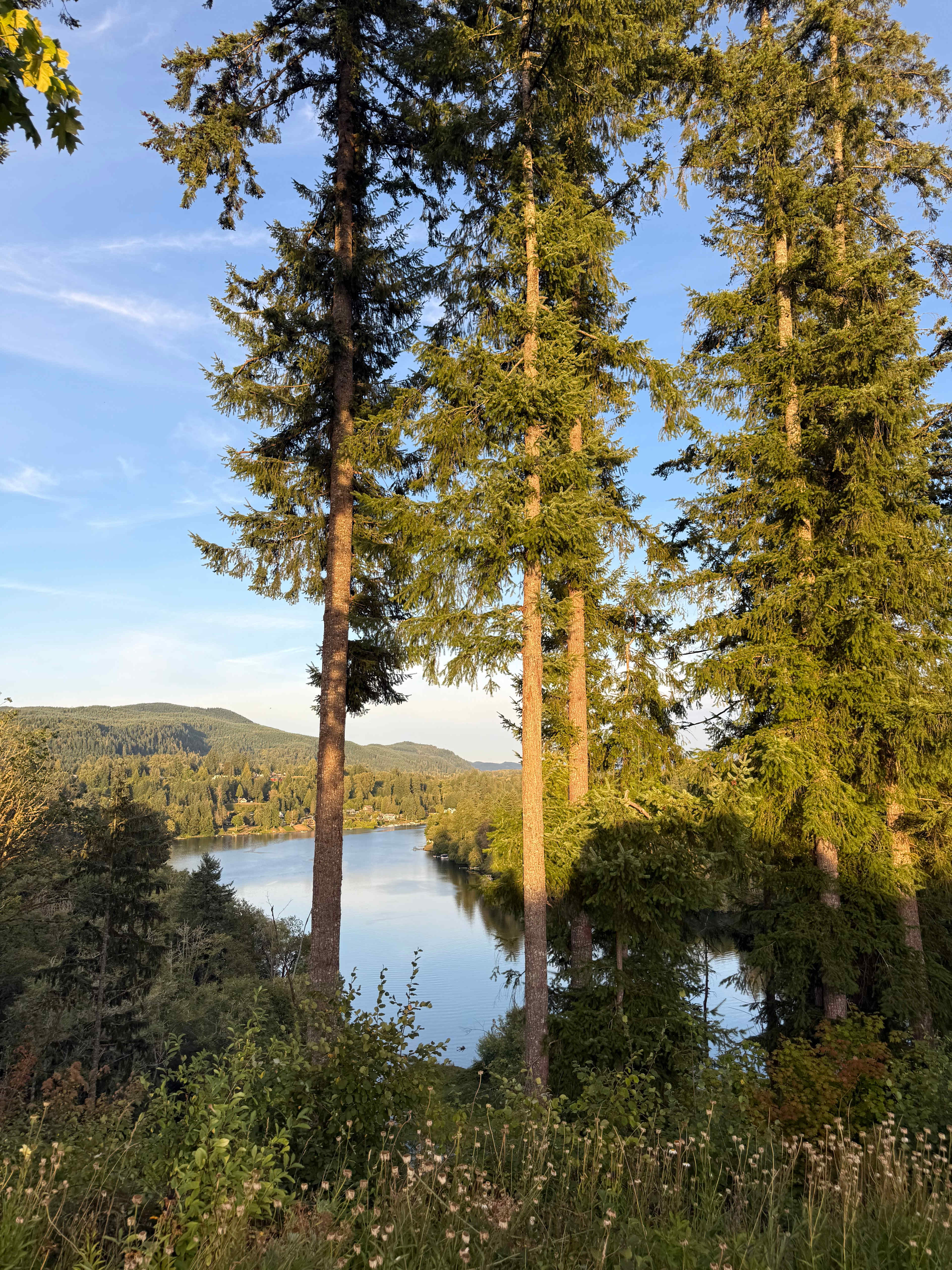 The Lookout at Mayfield Lake