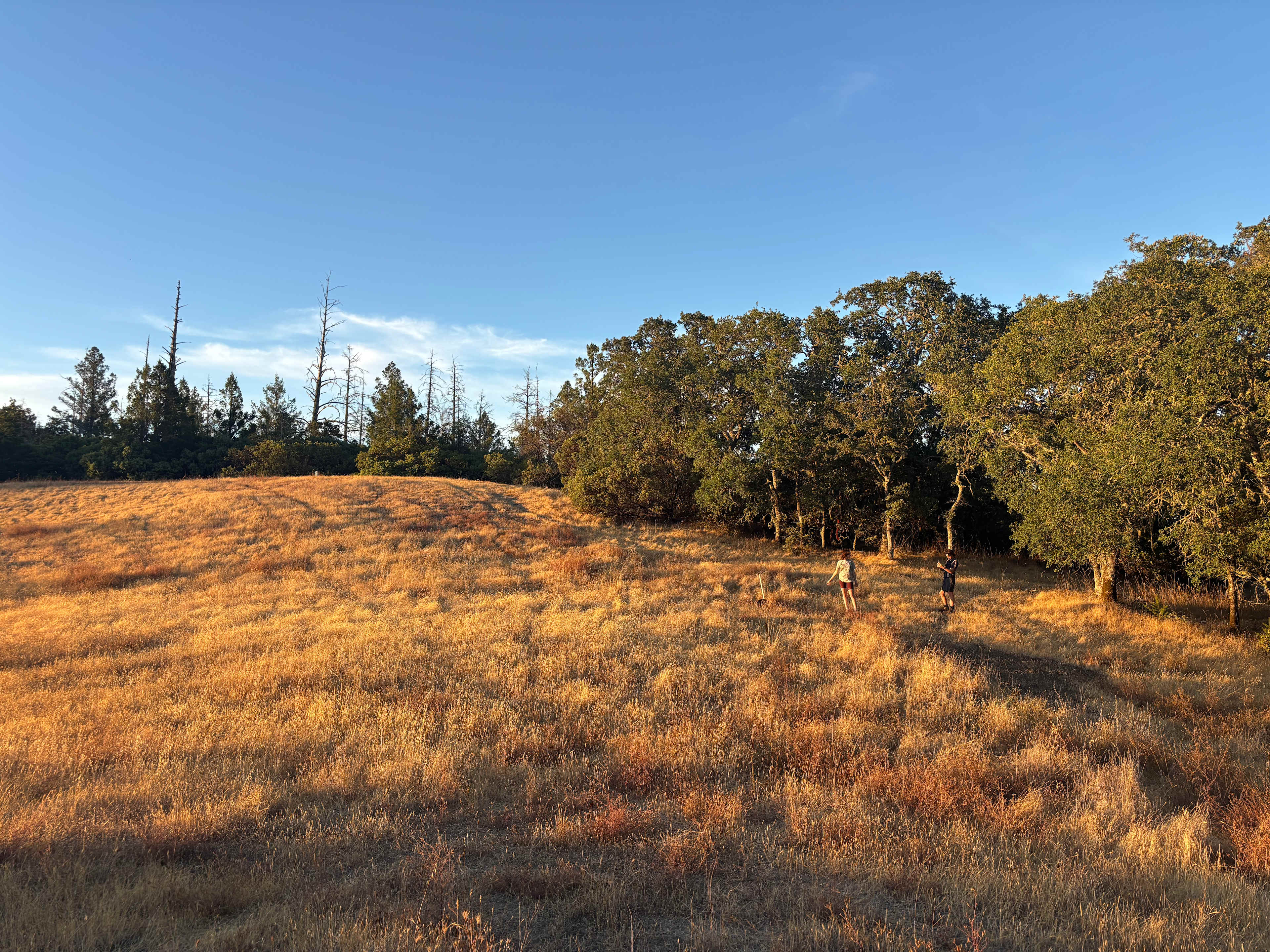 Whaleback Ridge Cabins & Camp