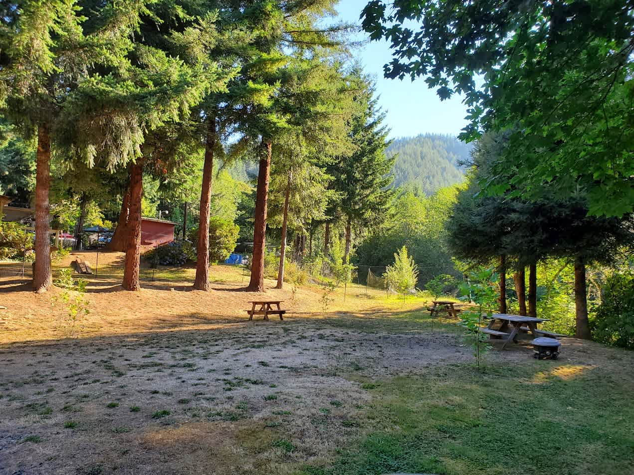 Smith River Store & Tavern