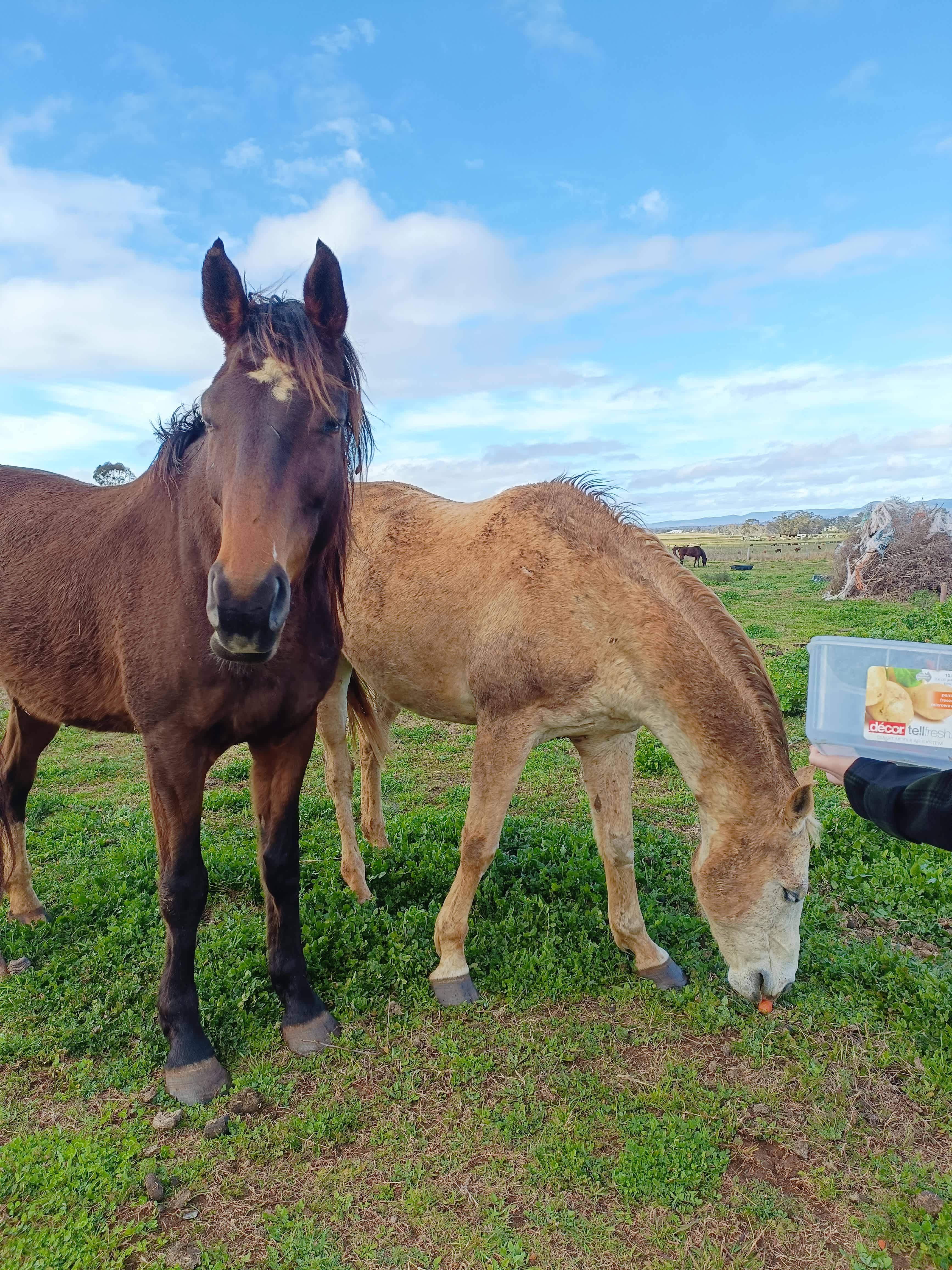 Warrego Farm
