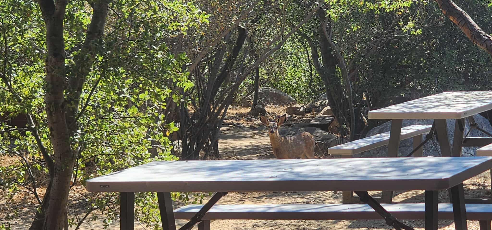 Spirit Walk - Private Retreat