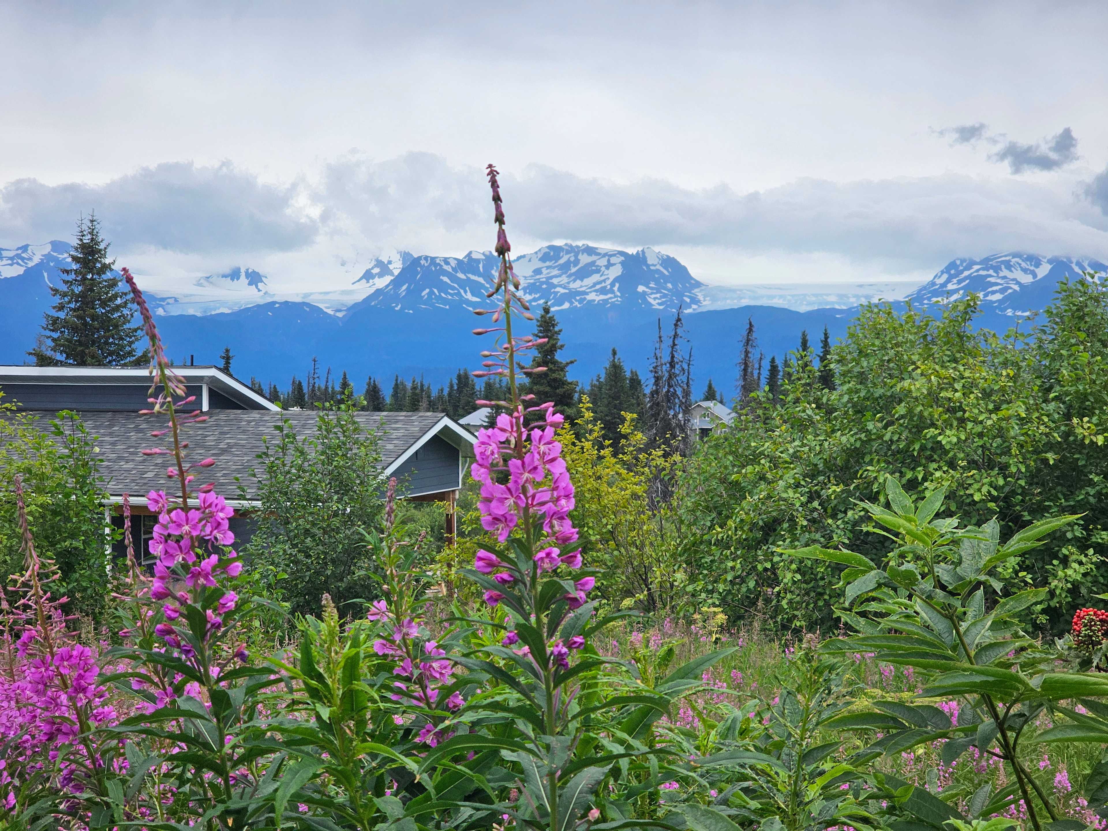 Glacier Vista RV Pad