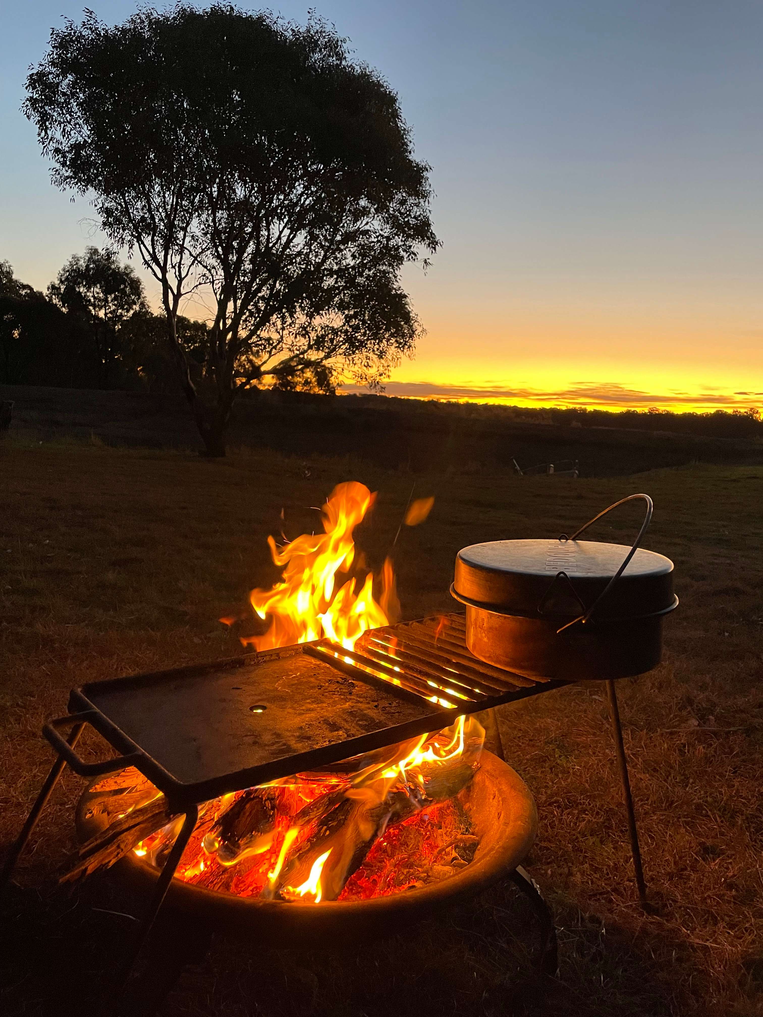 Serendipity - a fortunate discovery