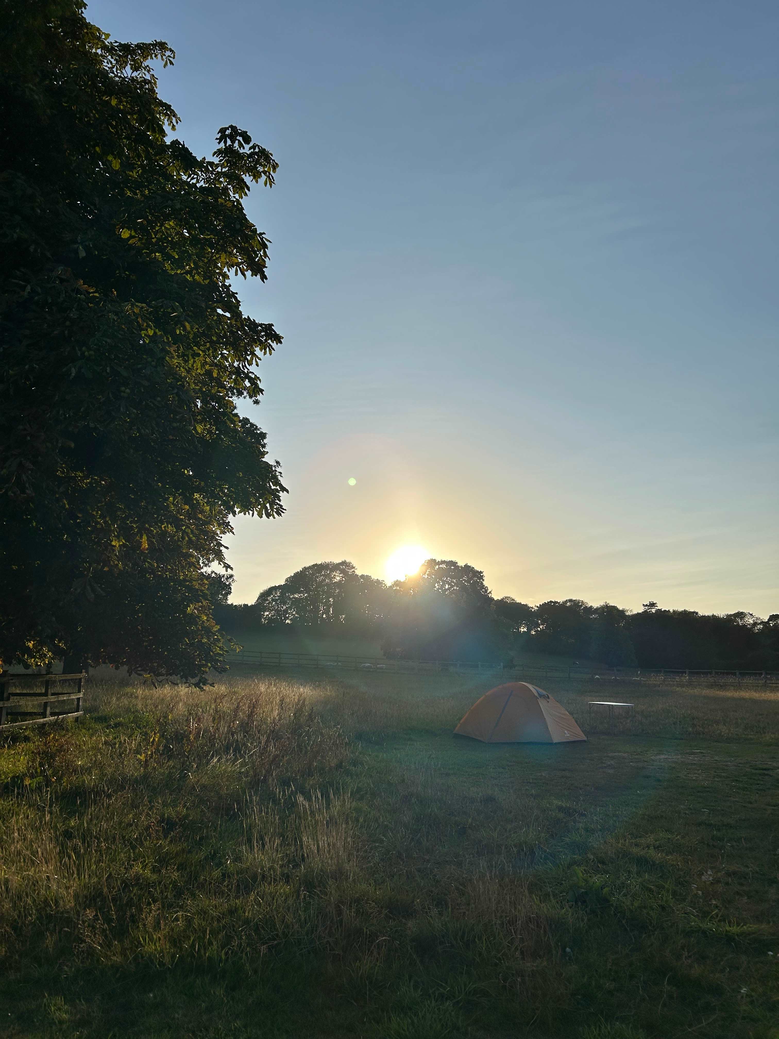 Lordington Park Camping