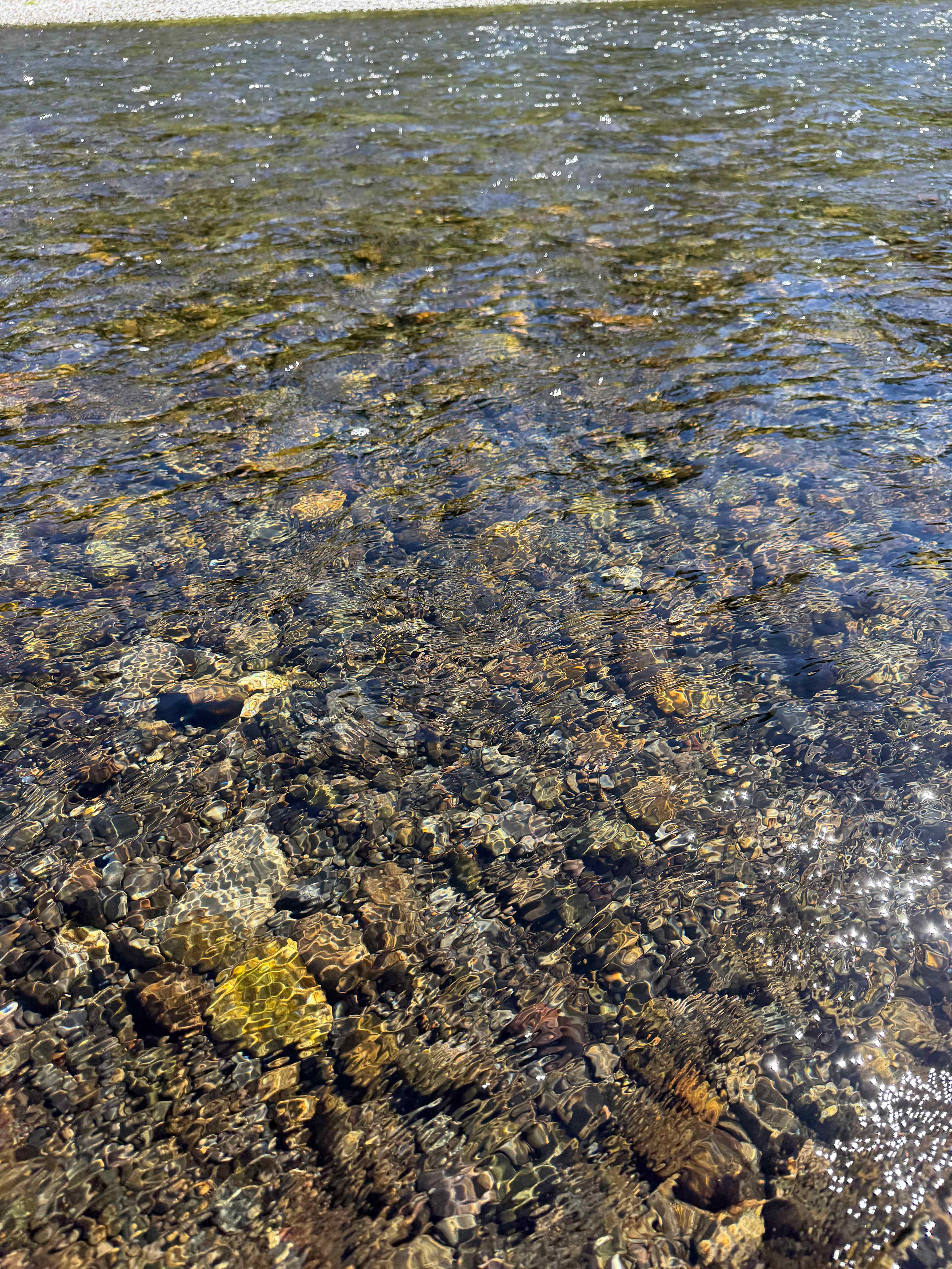 Humptulips Valley River Camp