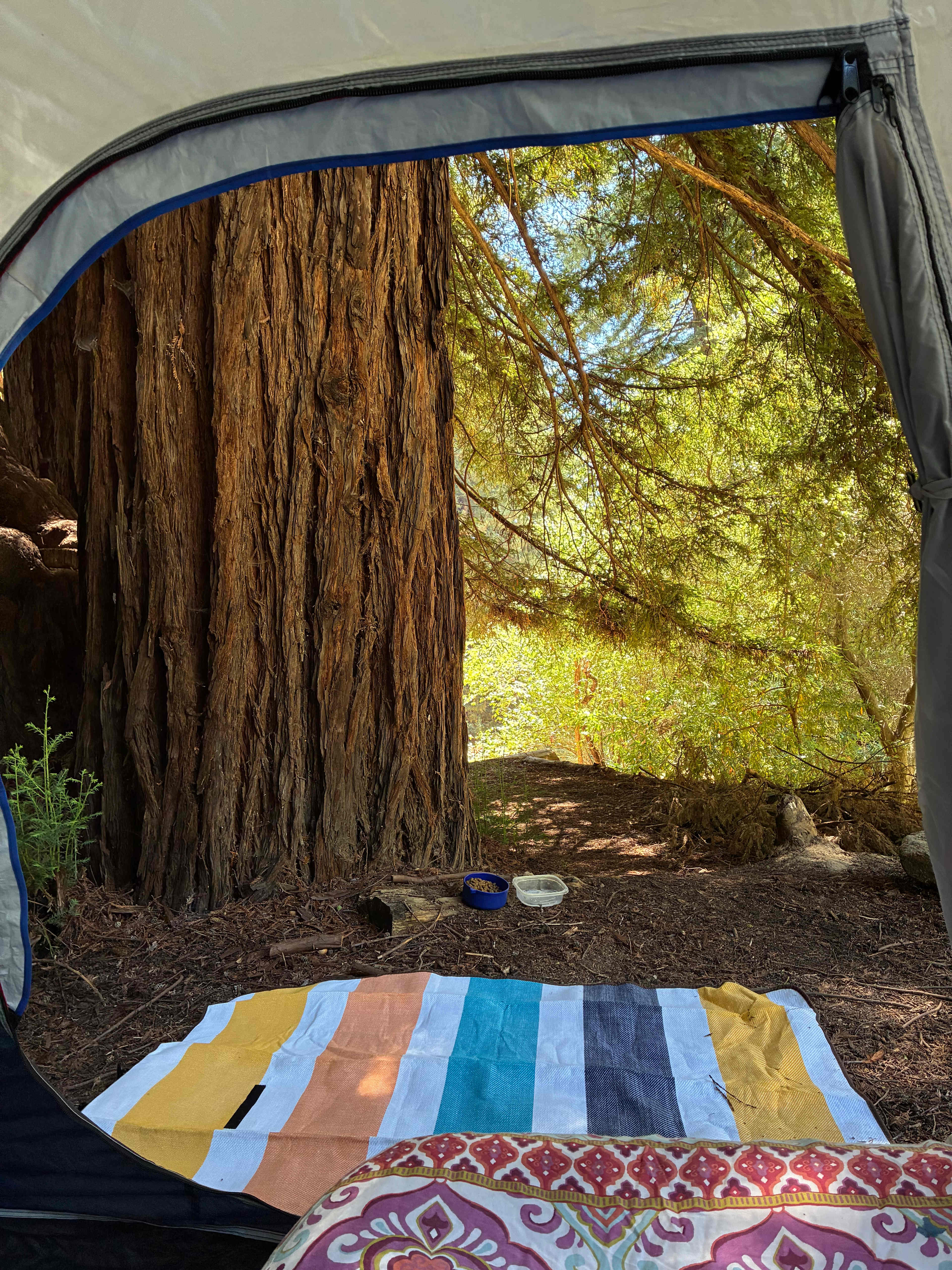 Amaya Creek Redwood Campground