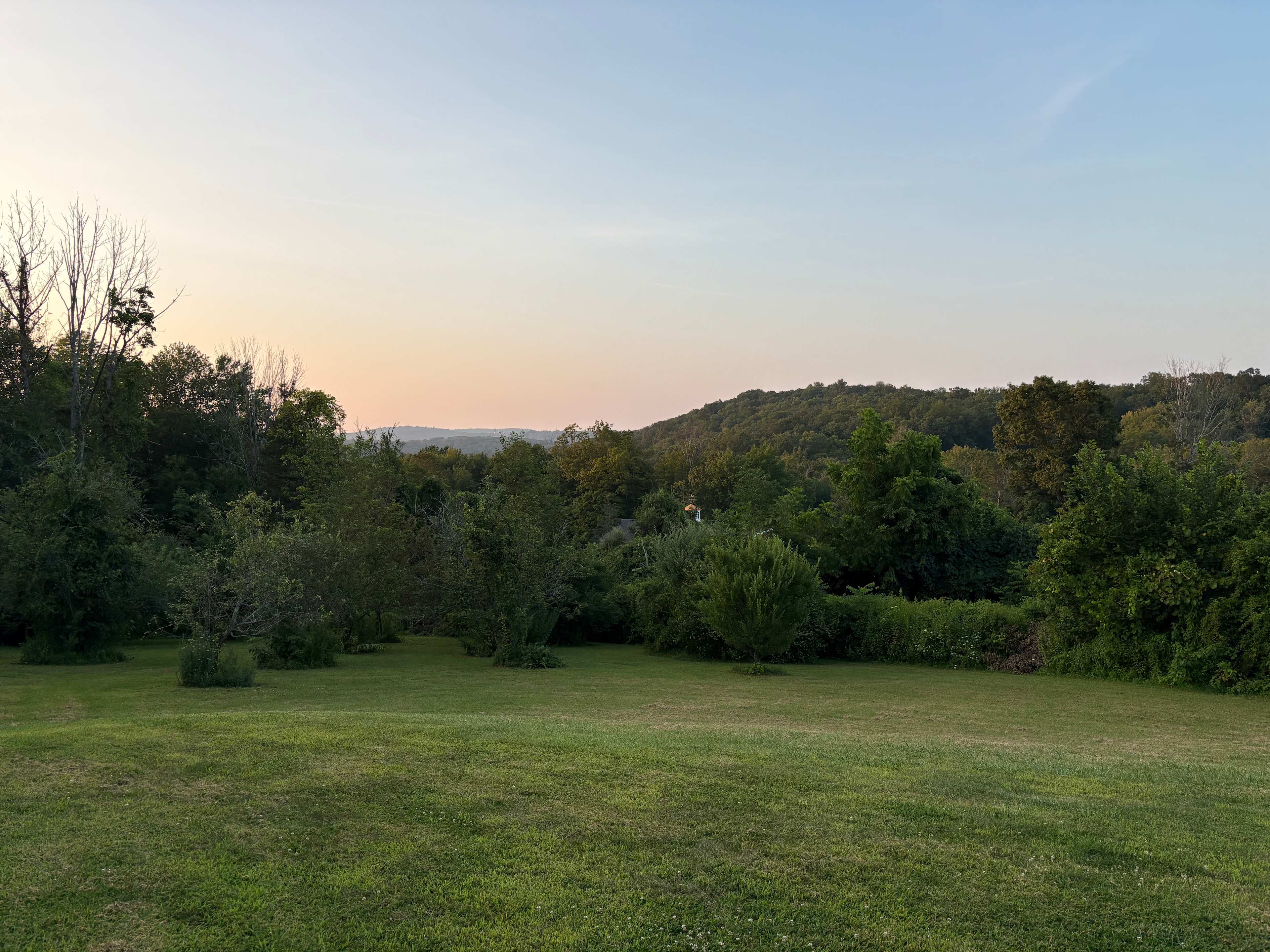 Mickelberry Forest Gardens