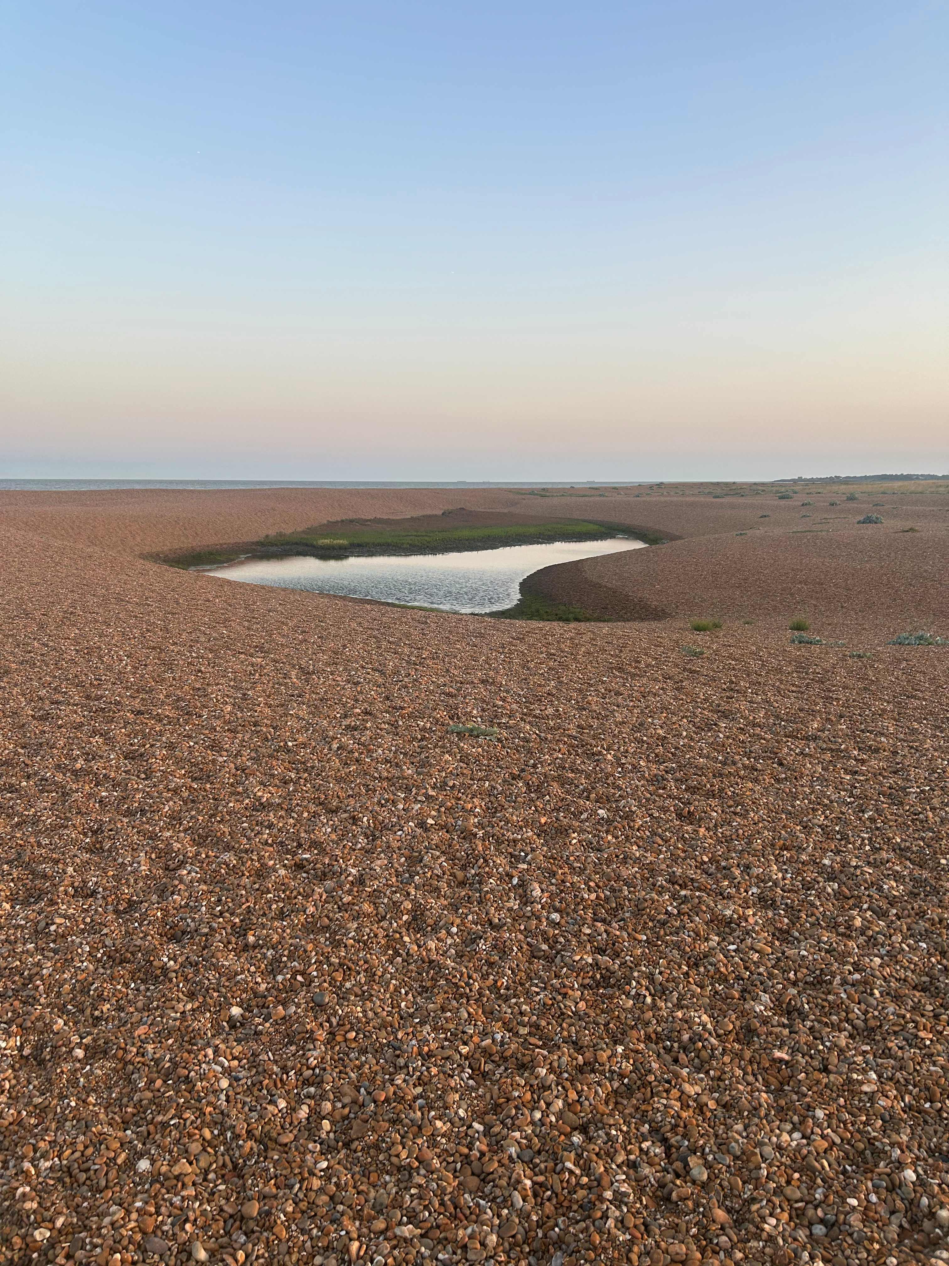 Holistic Woods Wild Campsite