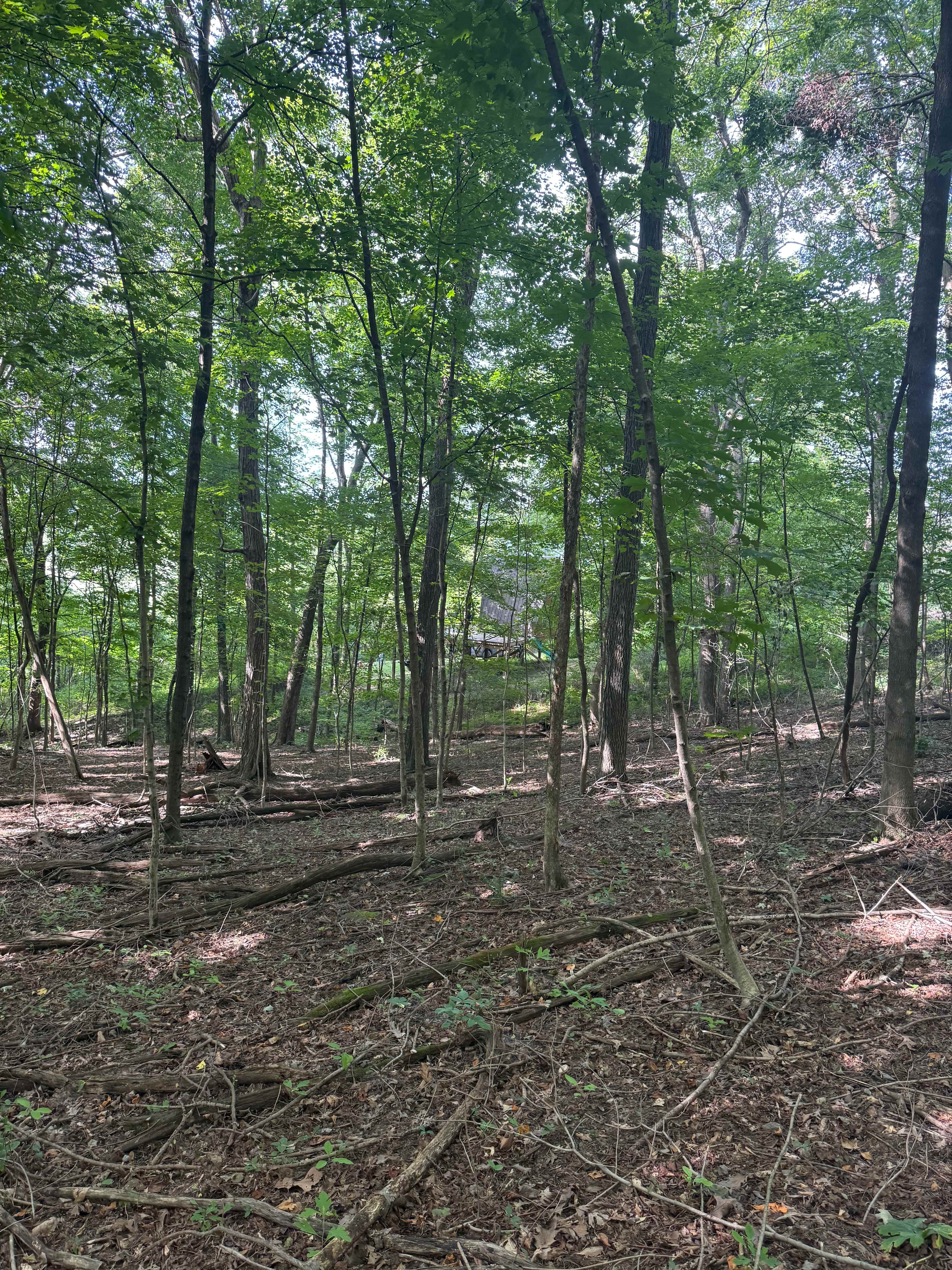 McKee Farm - Treehouses and Camping