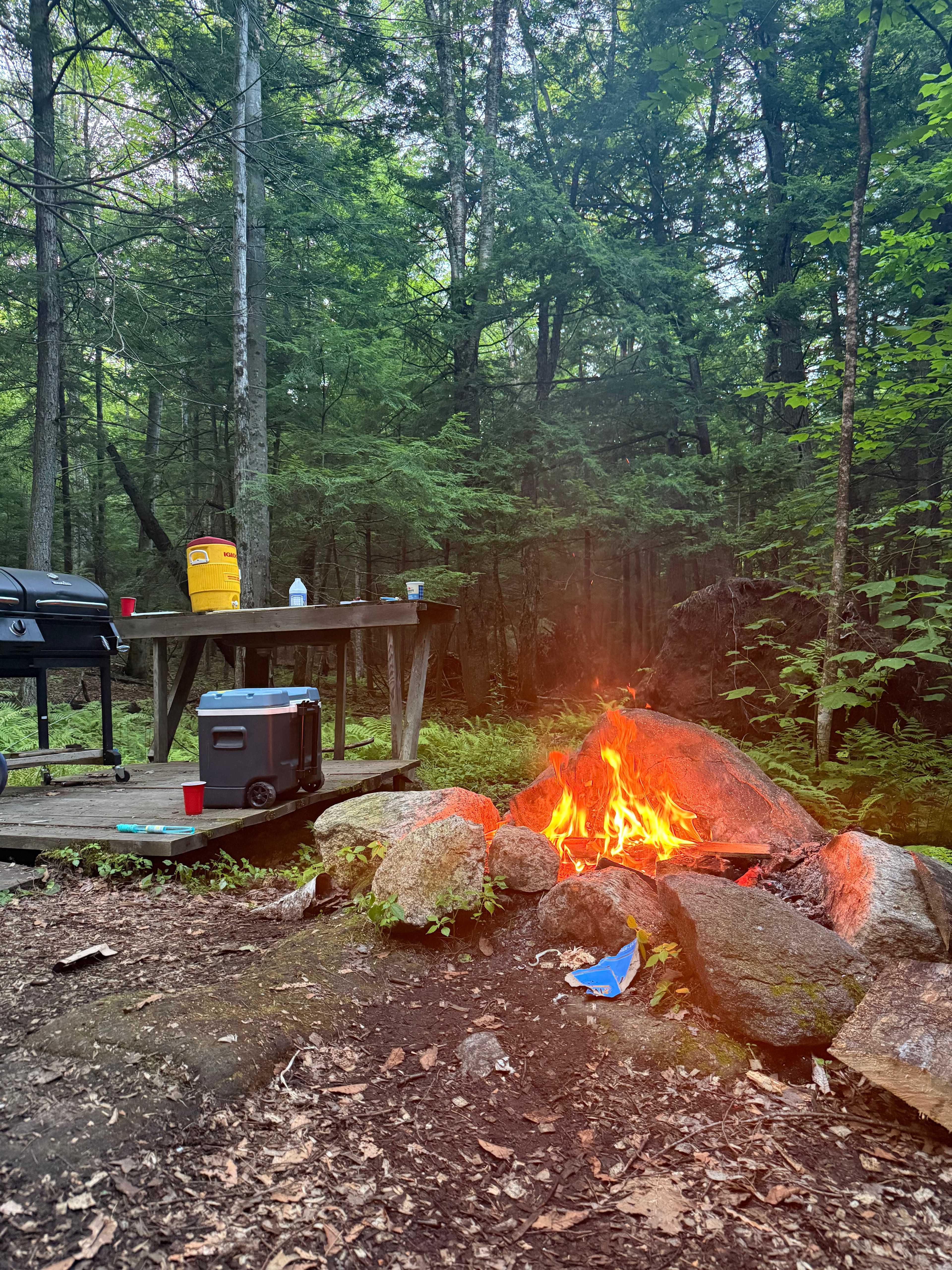 Camp fire, grill, dry sink/cooking area. 