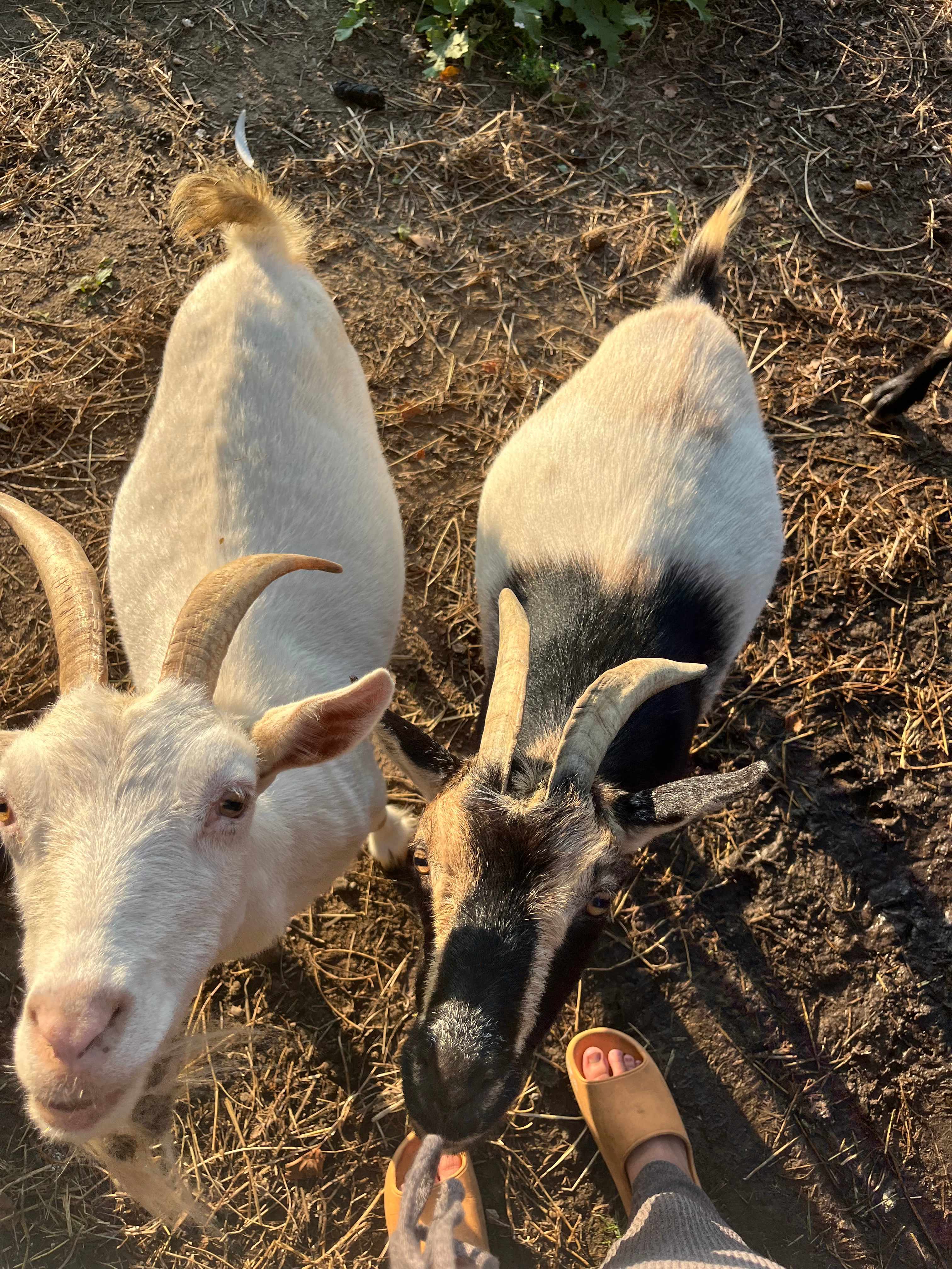 Breathe in Silence & Serenity