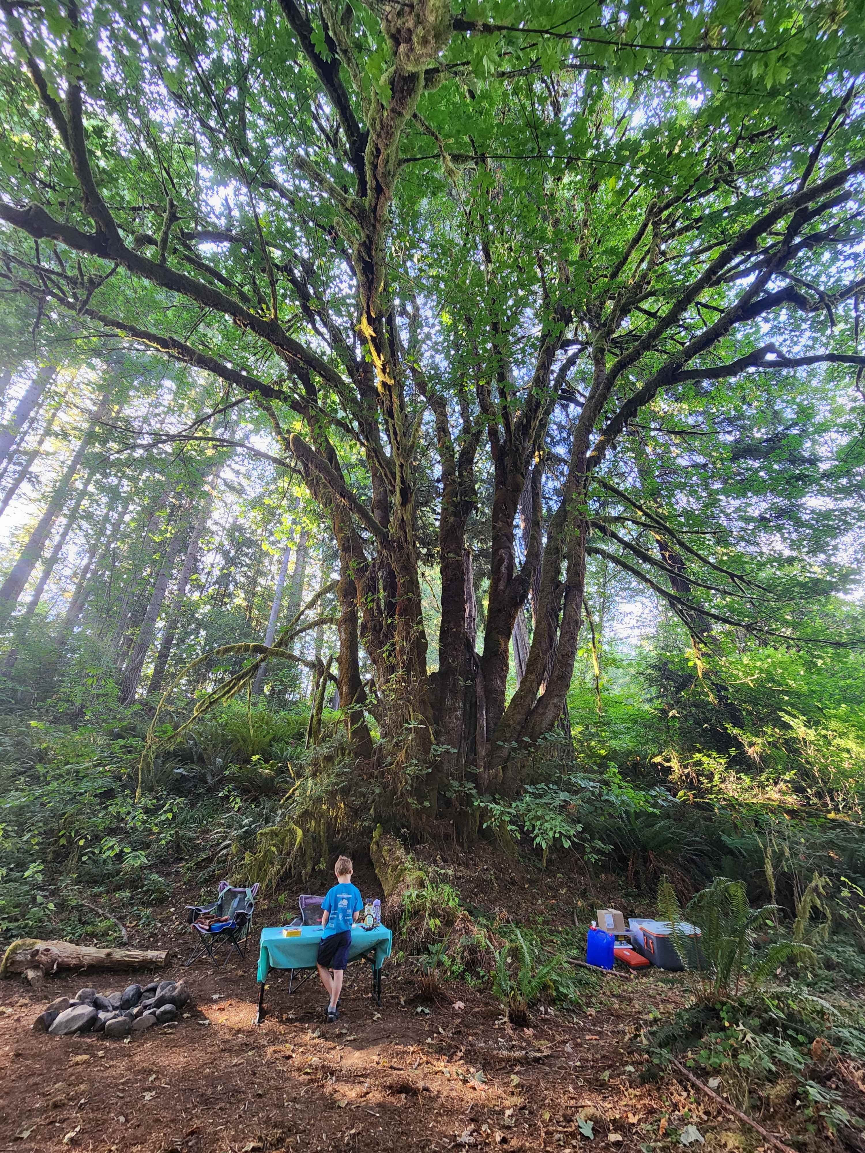 Hillside Vista RV / Creekside Camp