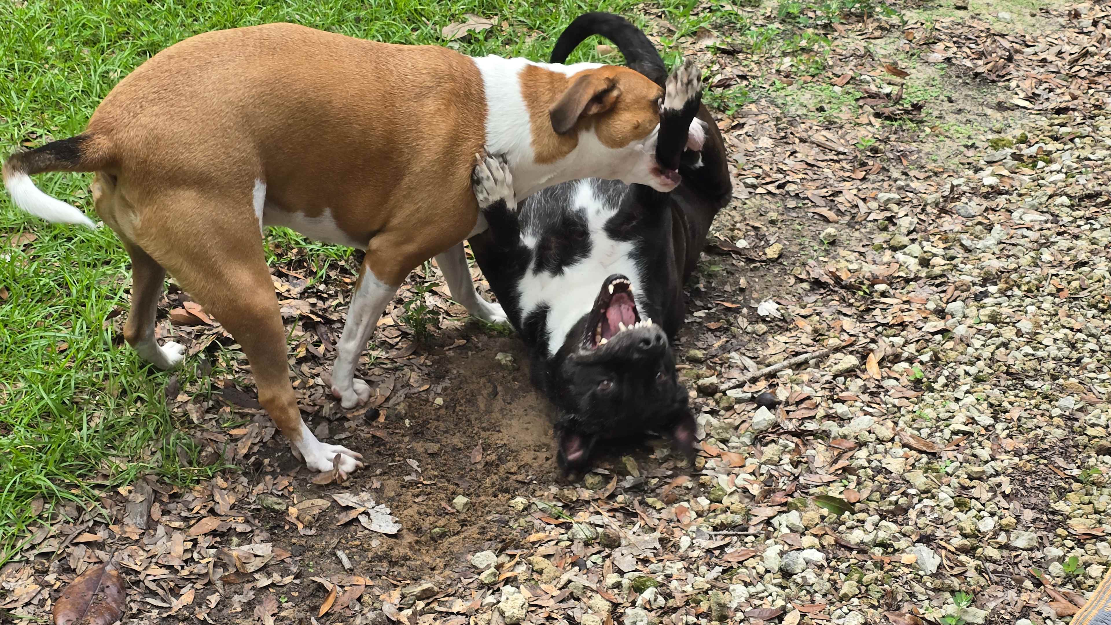 O'Neal's fish camp at Howard Creek