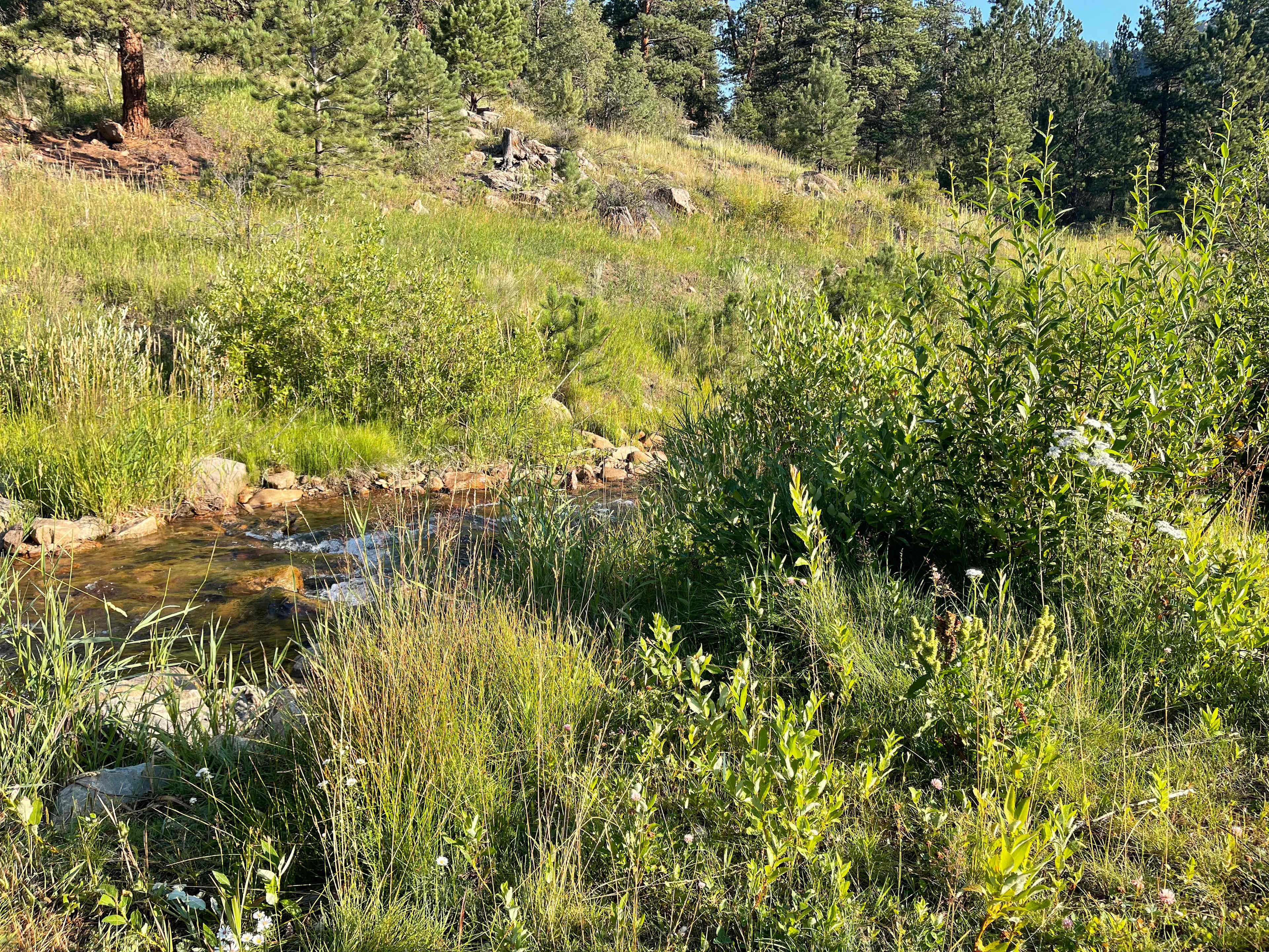 Creek was a highlight.