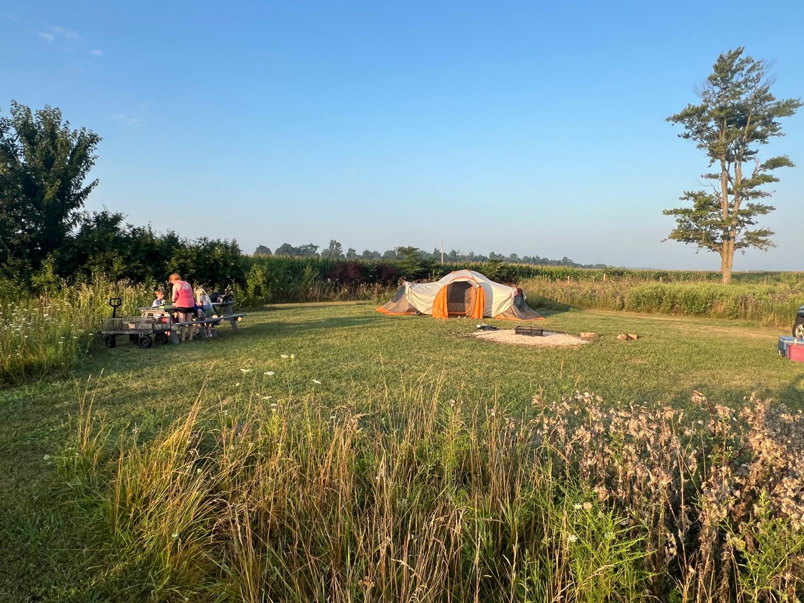 Wilde on Turtle Island Sanctuary