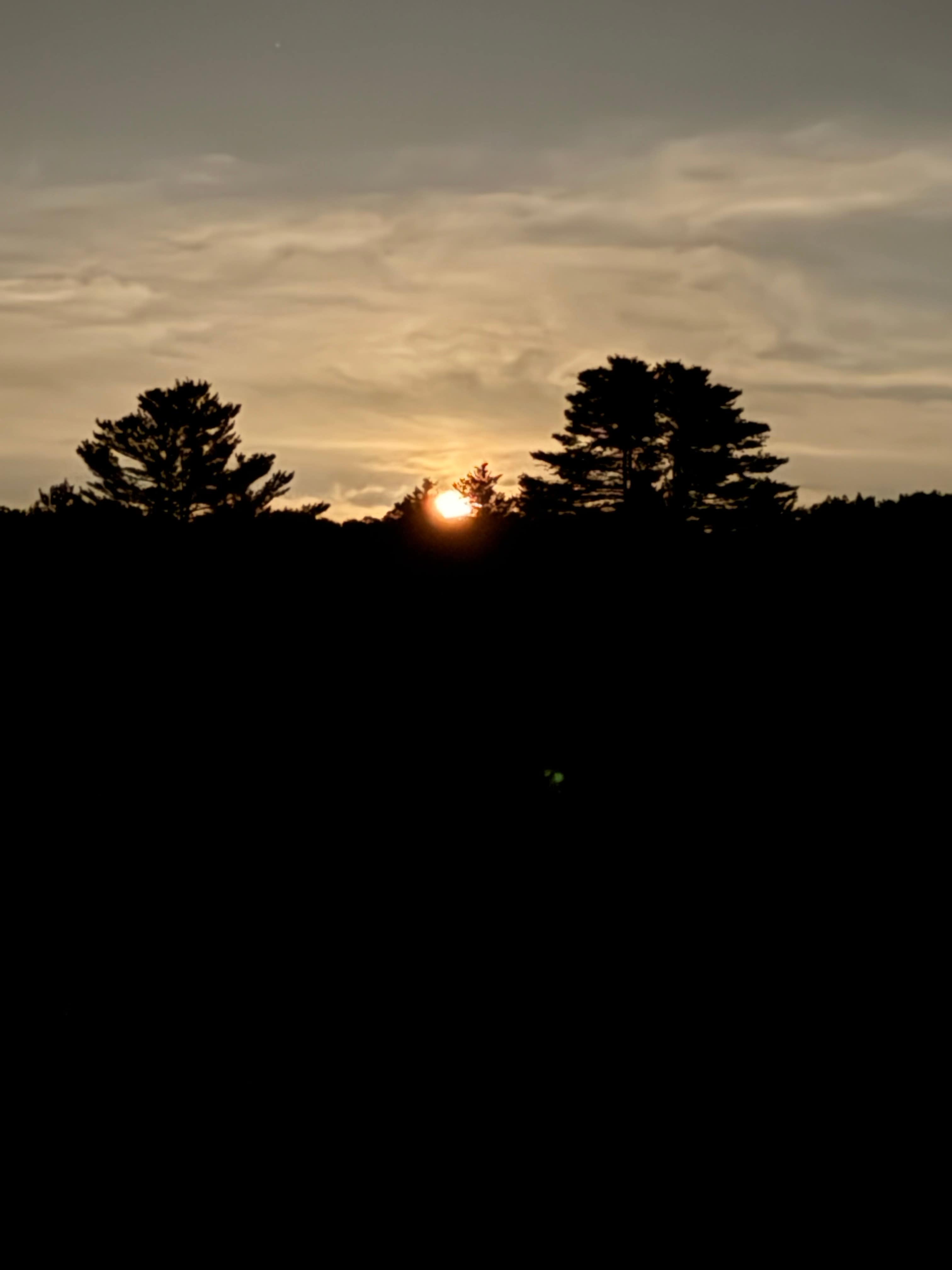 Moonrise over the property 