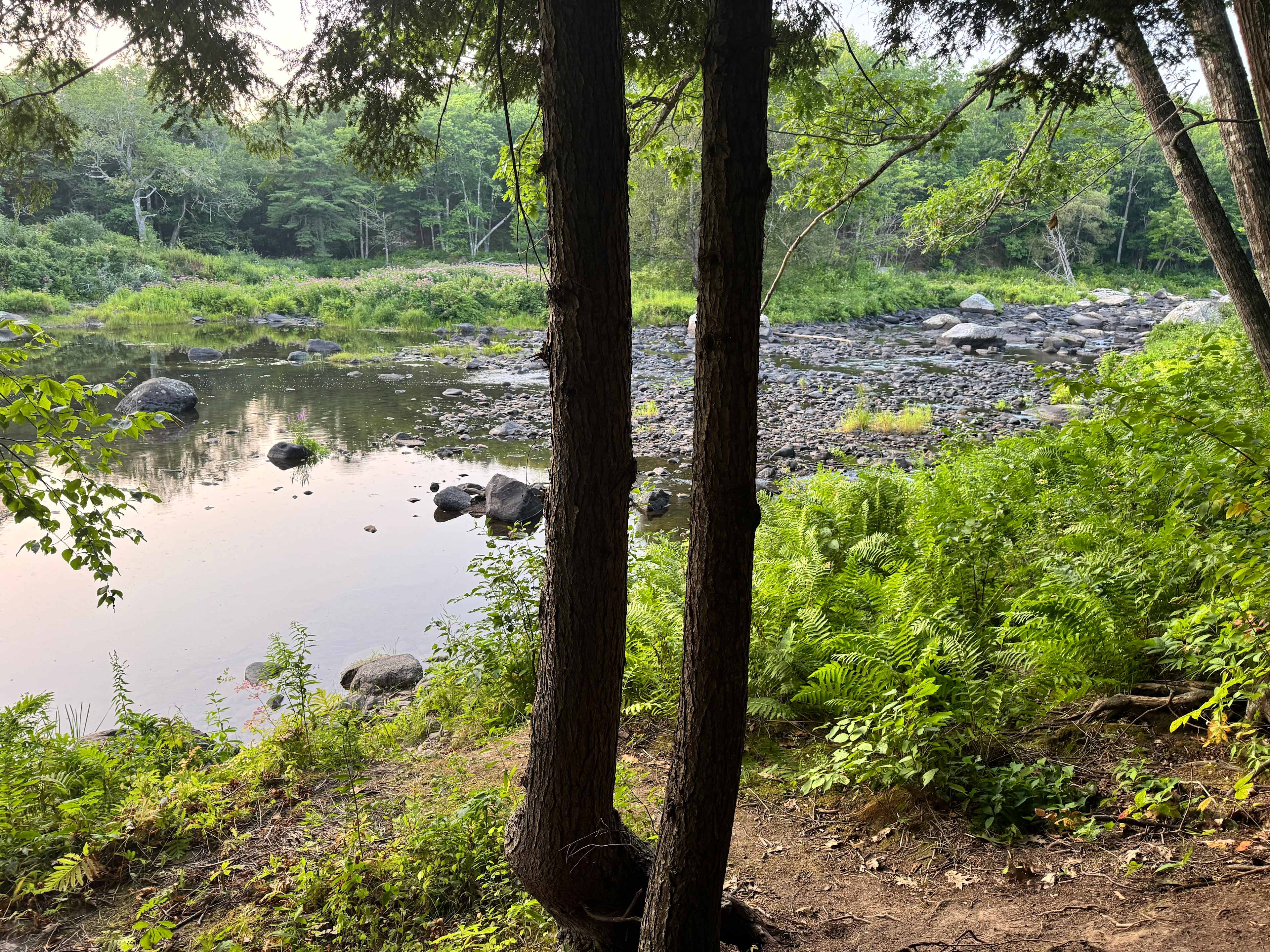 Flatrock on the River