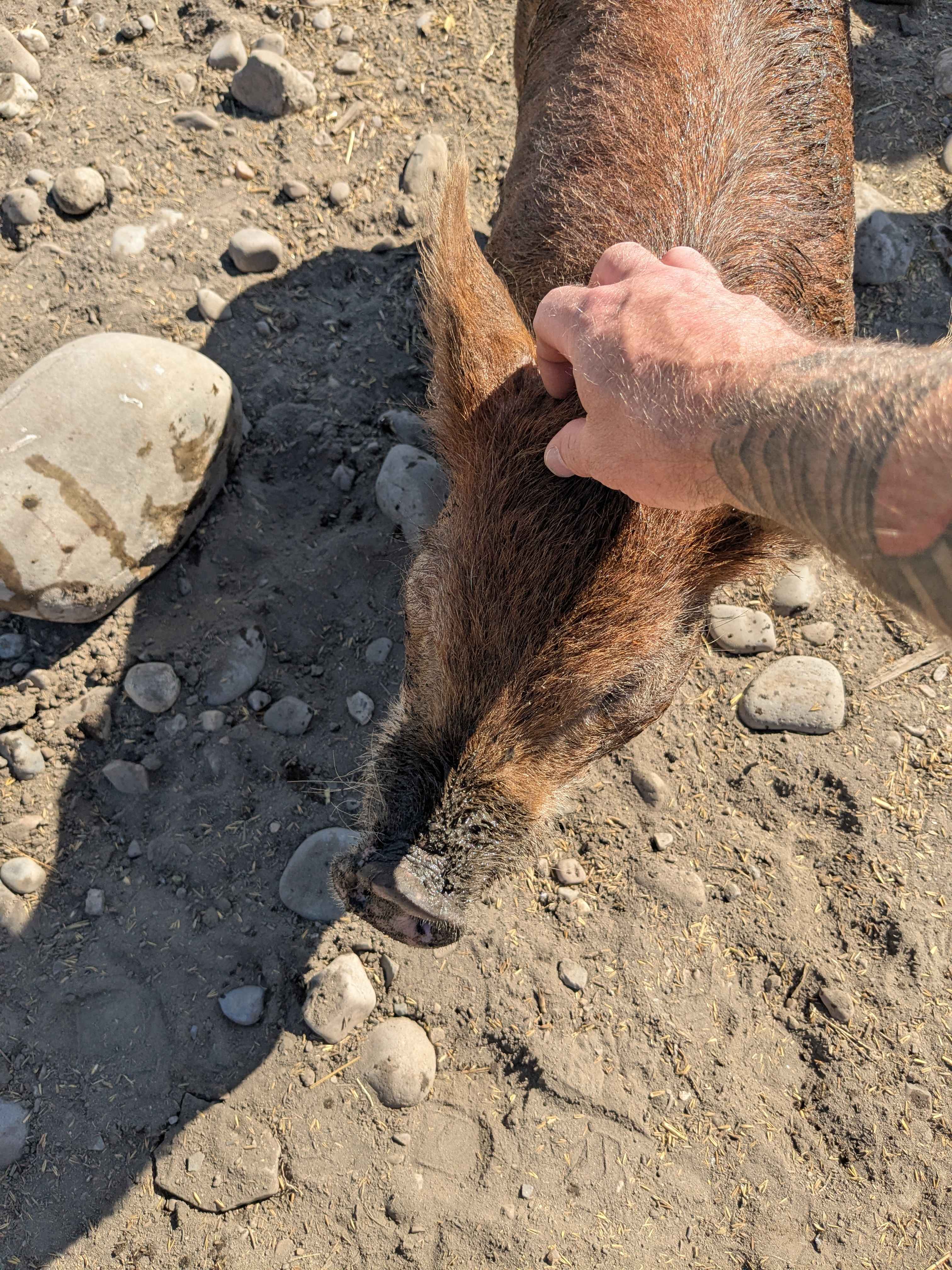 Big Hole Boondockin'