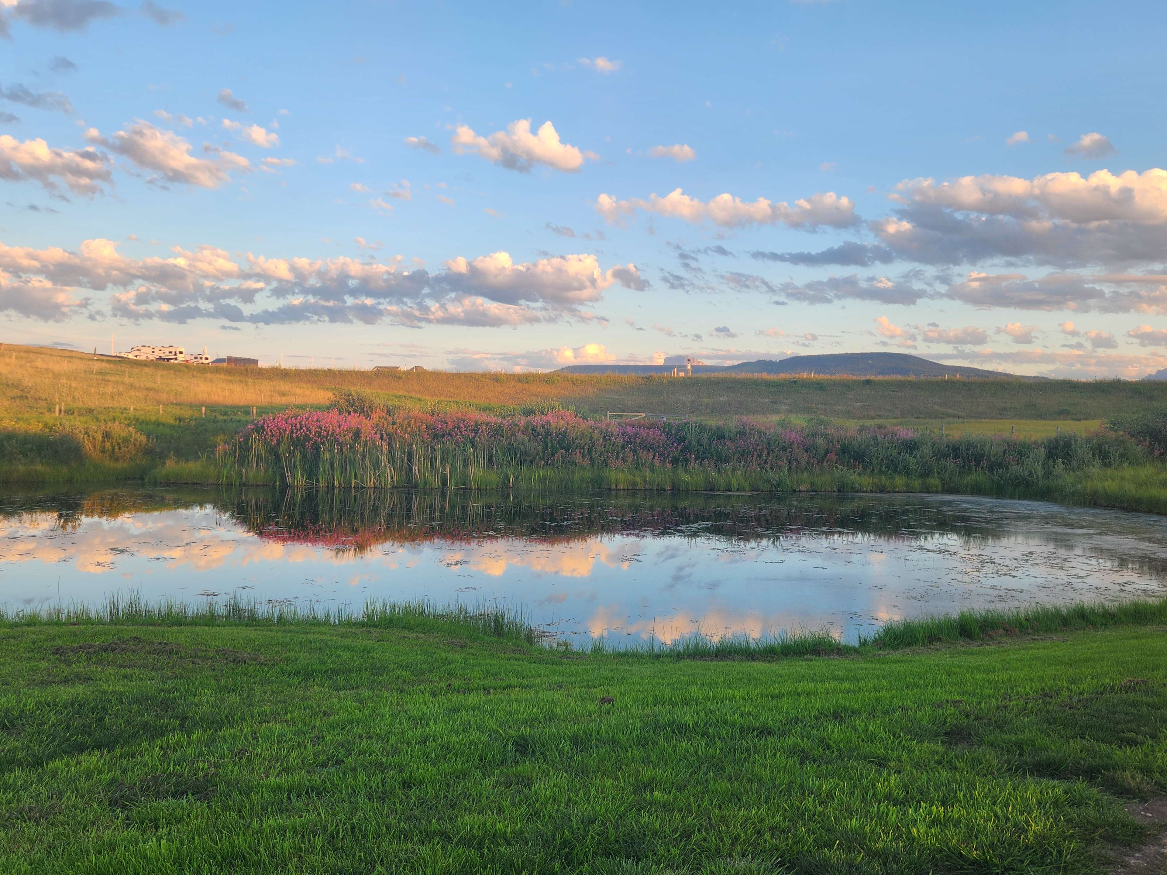 The Mariposa Glamping/Camping