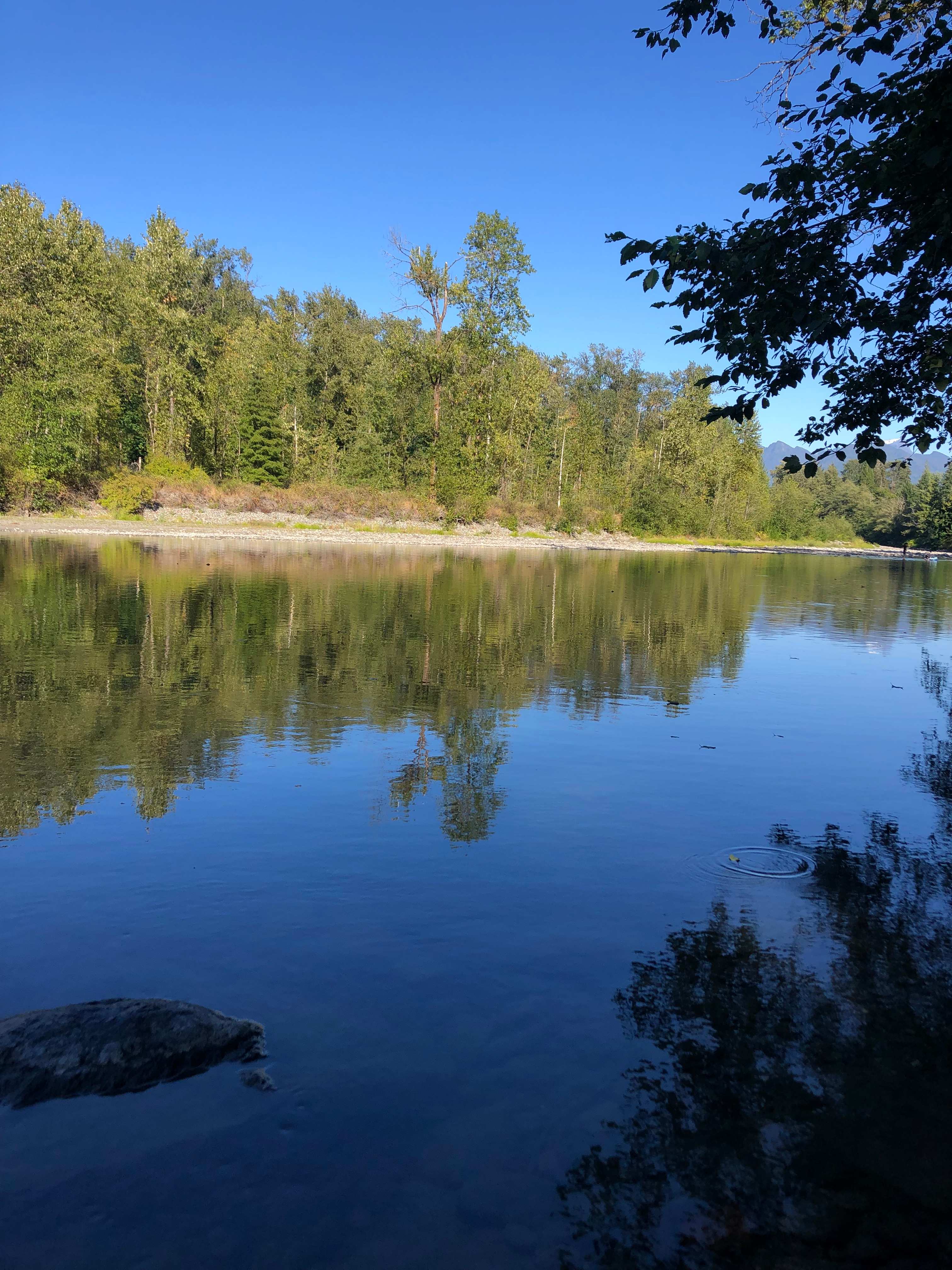 View from the fire pit