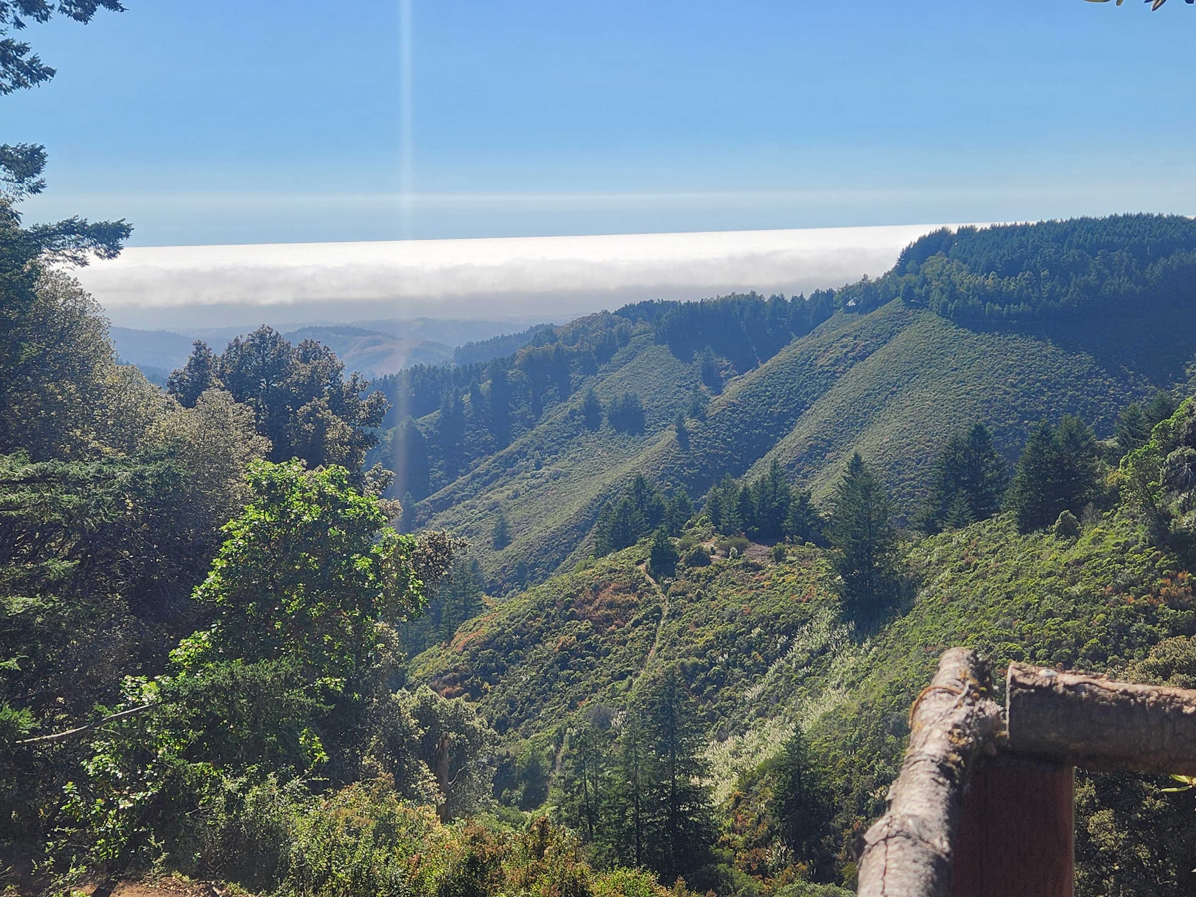 View during the day.