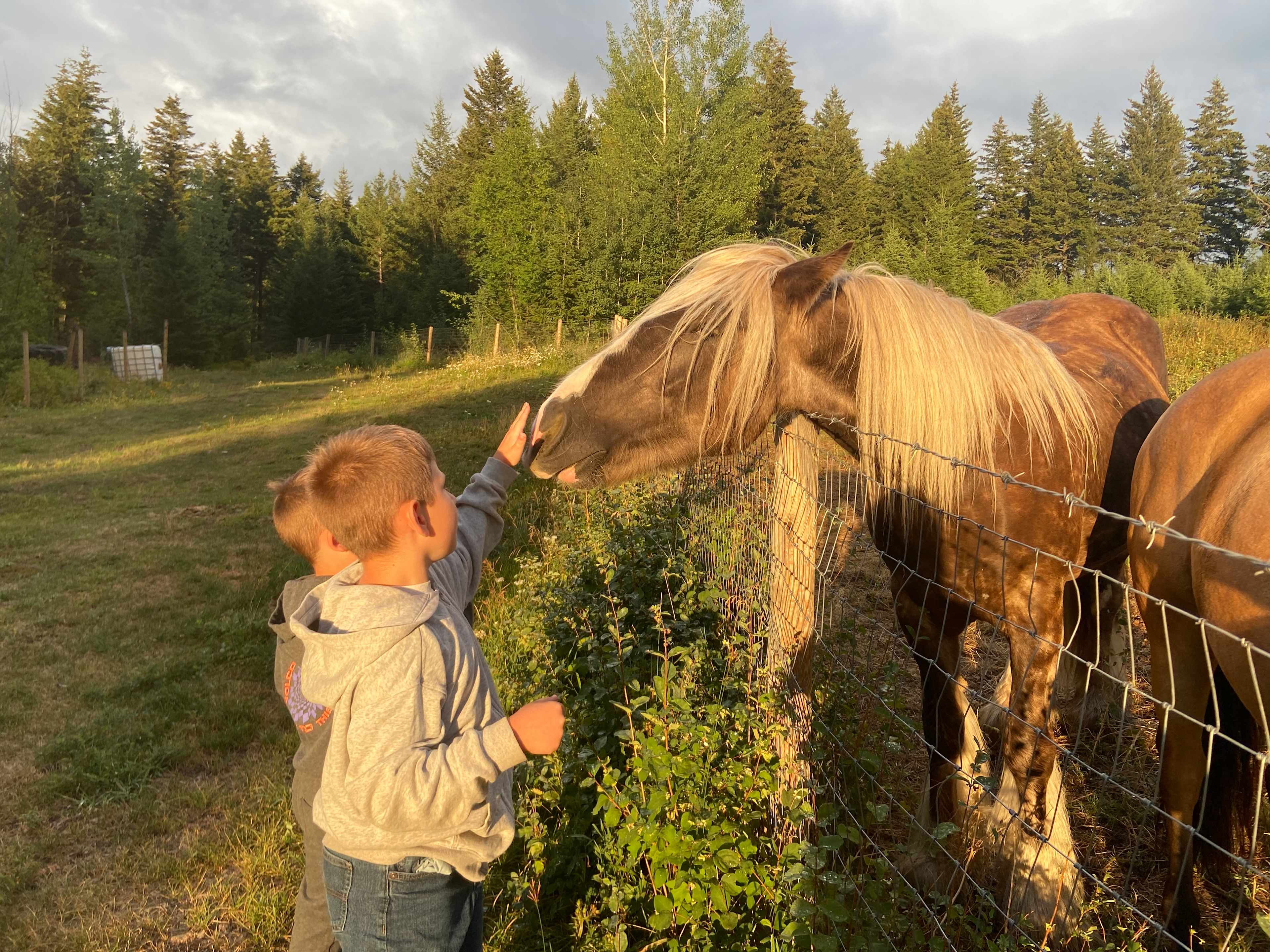 Nordika Farm & Retreat