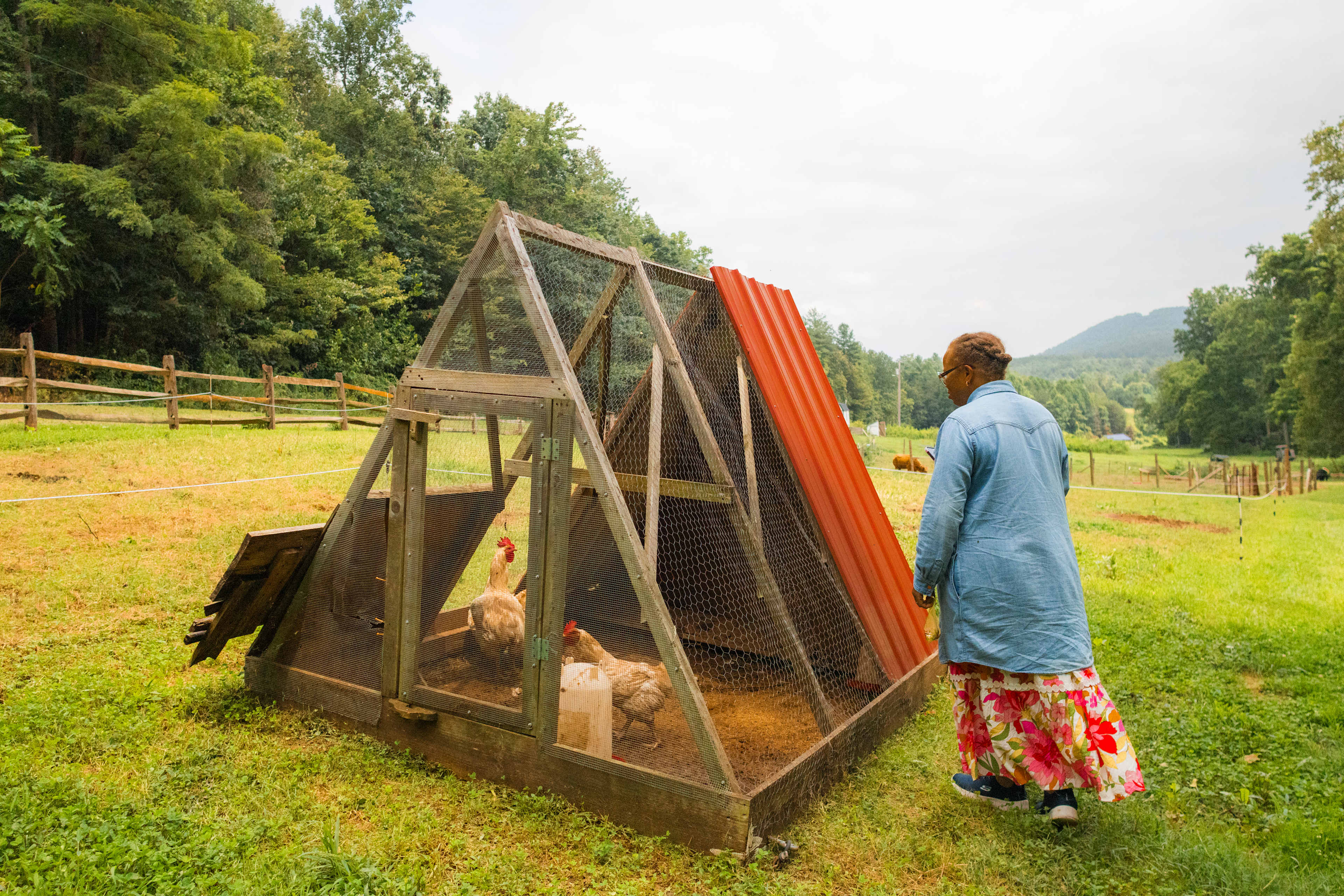 My mom checks out the chickens as we take a stroll through the farm