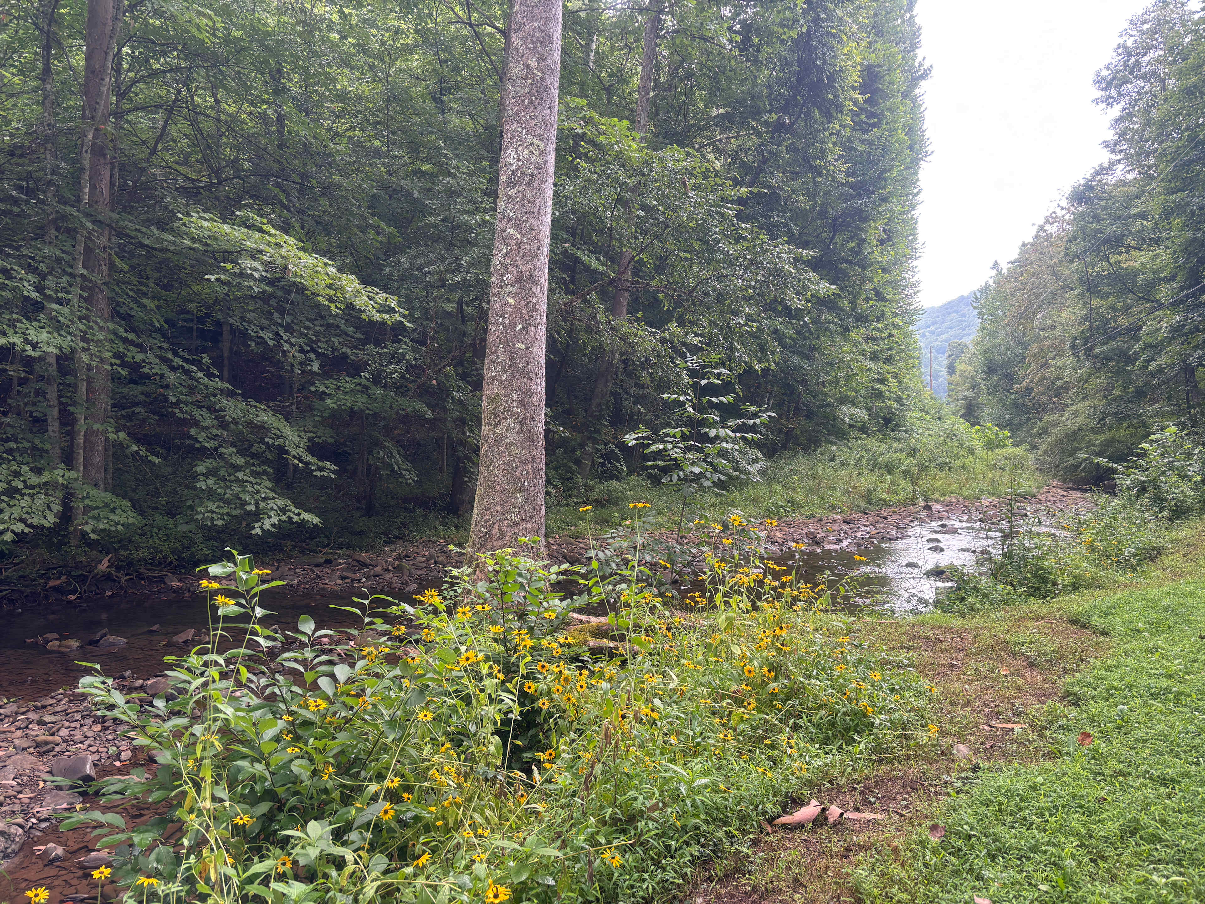 River Trail Hollow