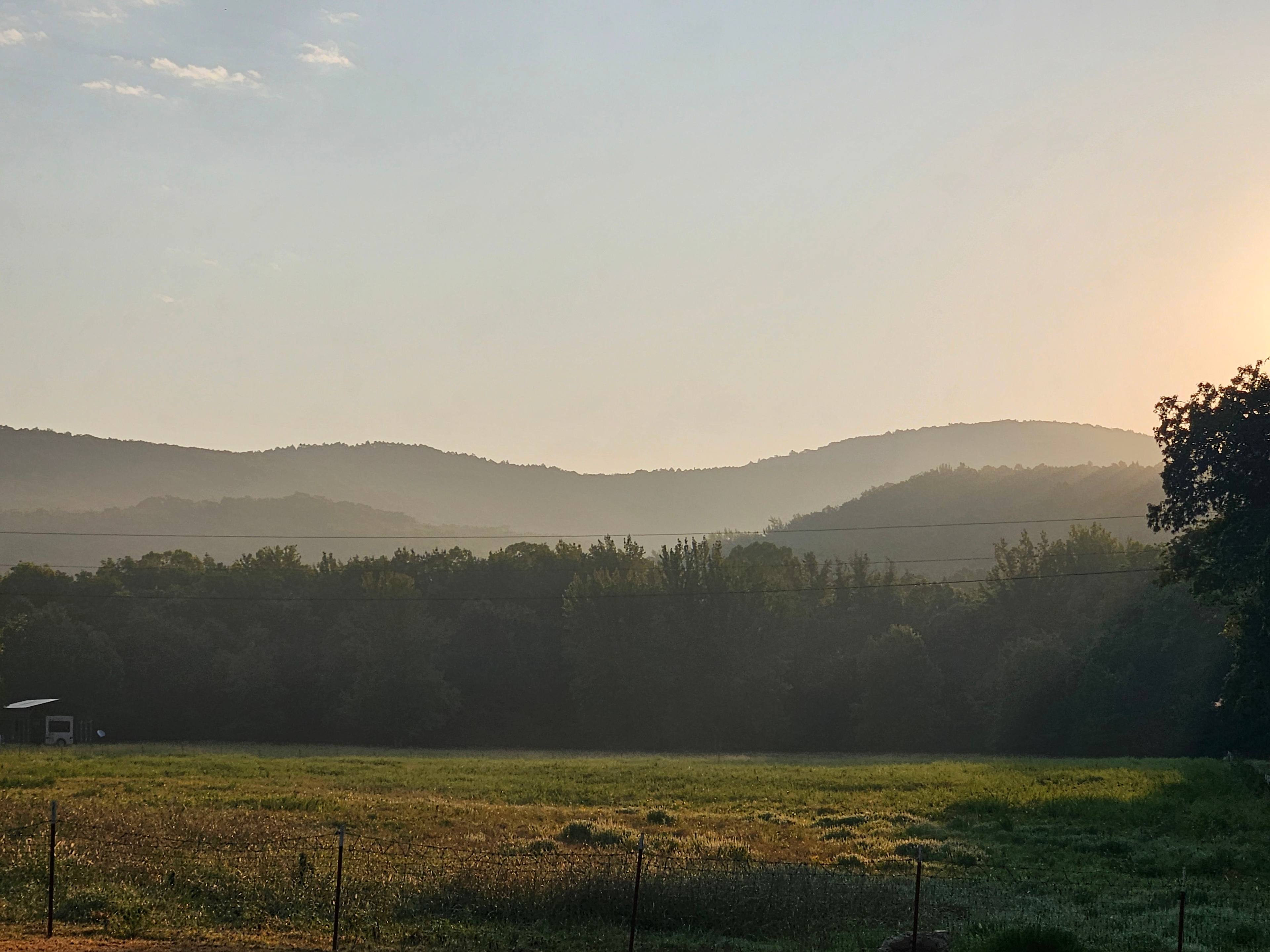 Little Mulberry Vacation Rentals