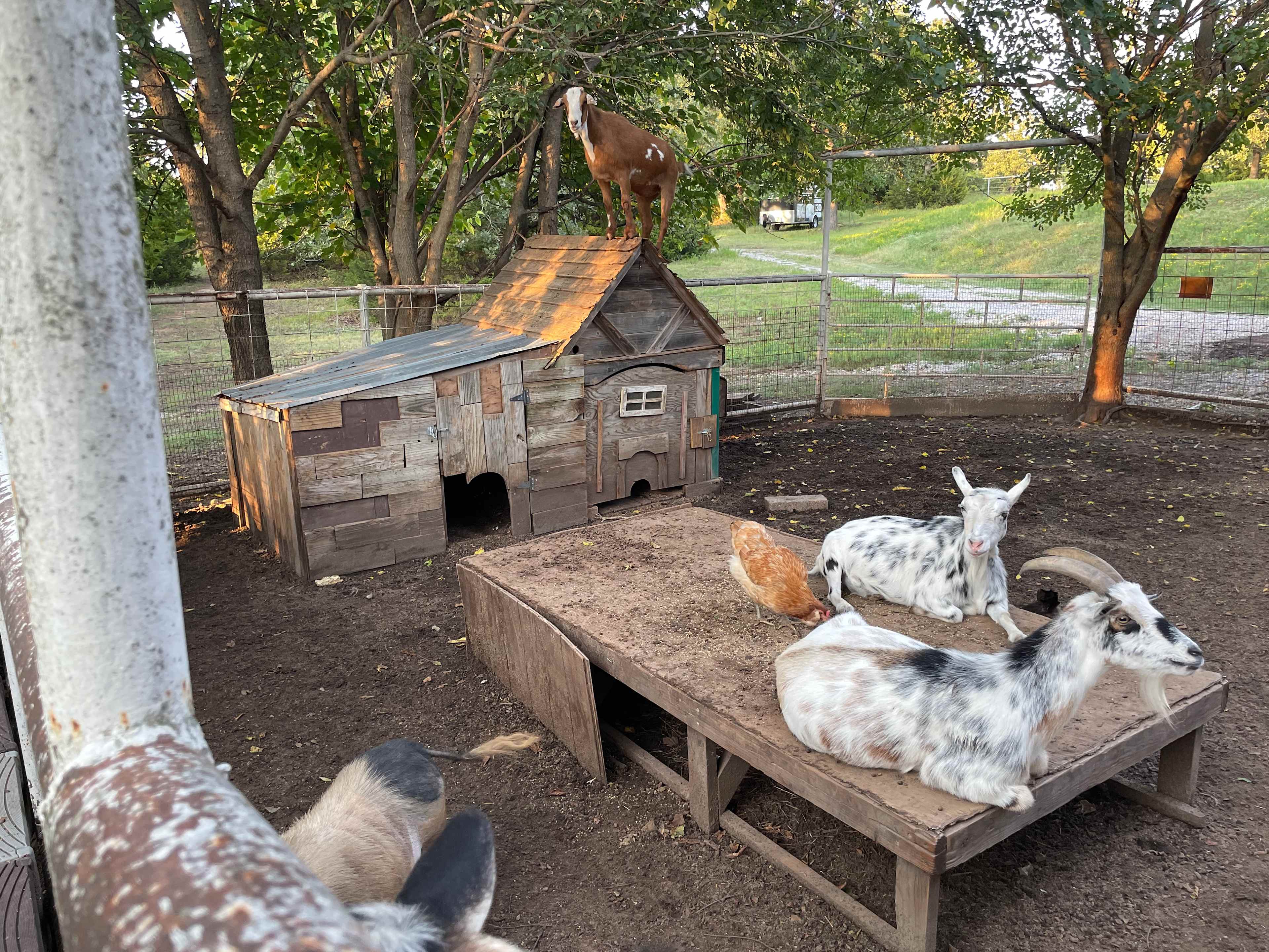 Three Ponds Community