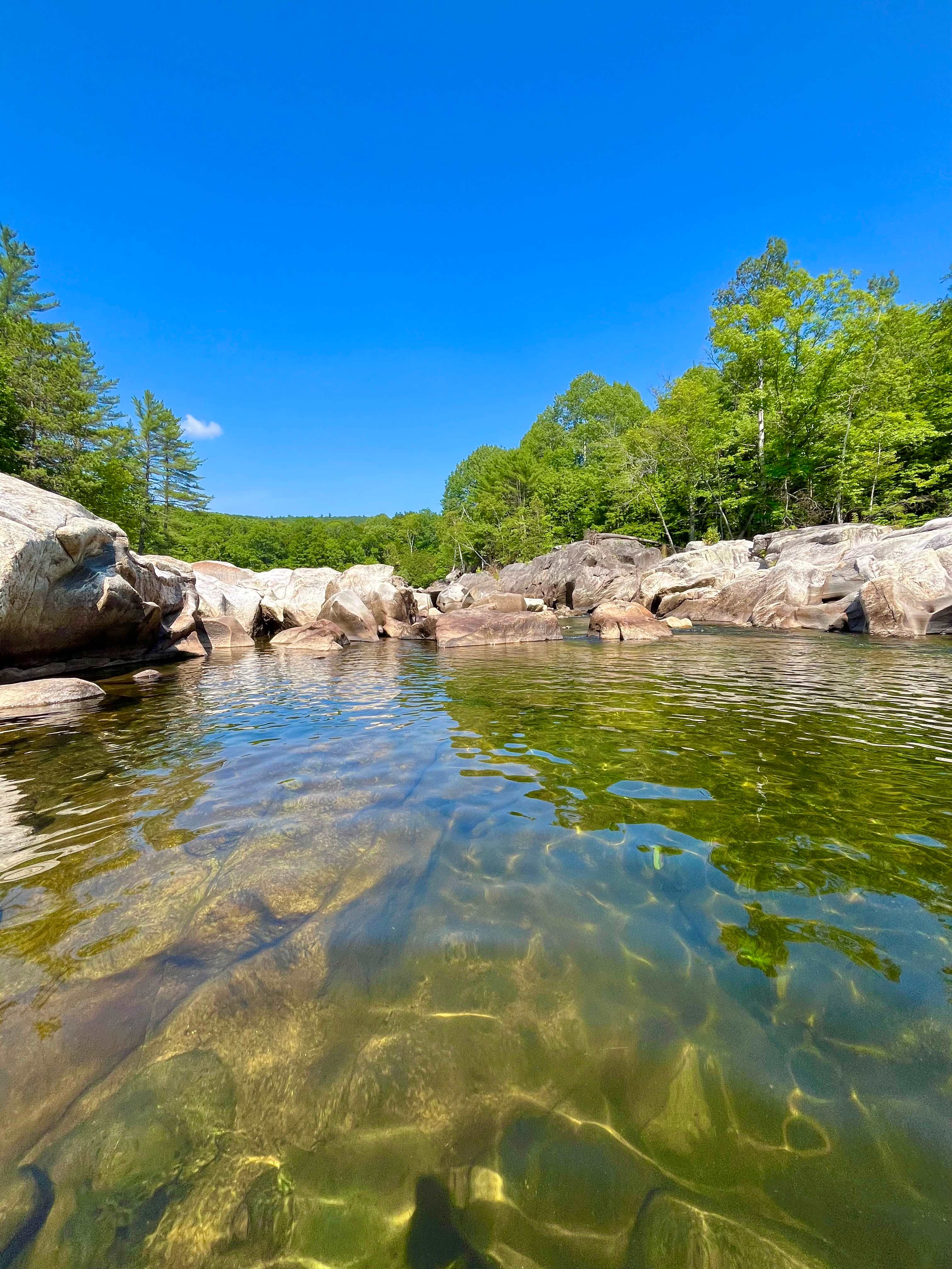 🌲 40 Acres Of Riverfront Serenity