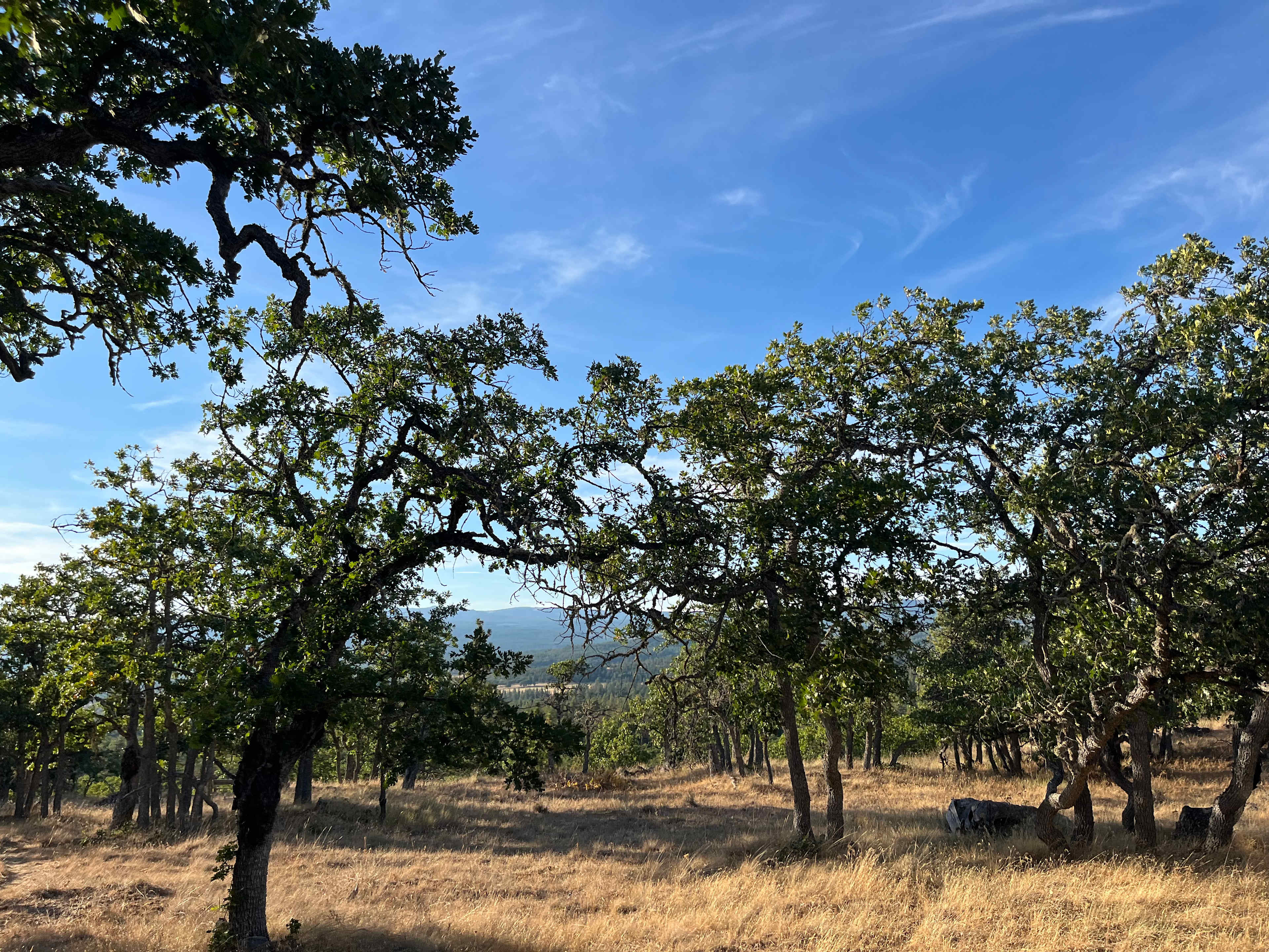 KLICKITAT VIEW CABIN