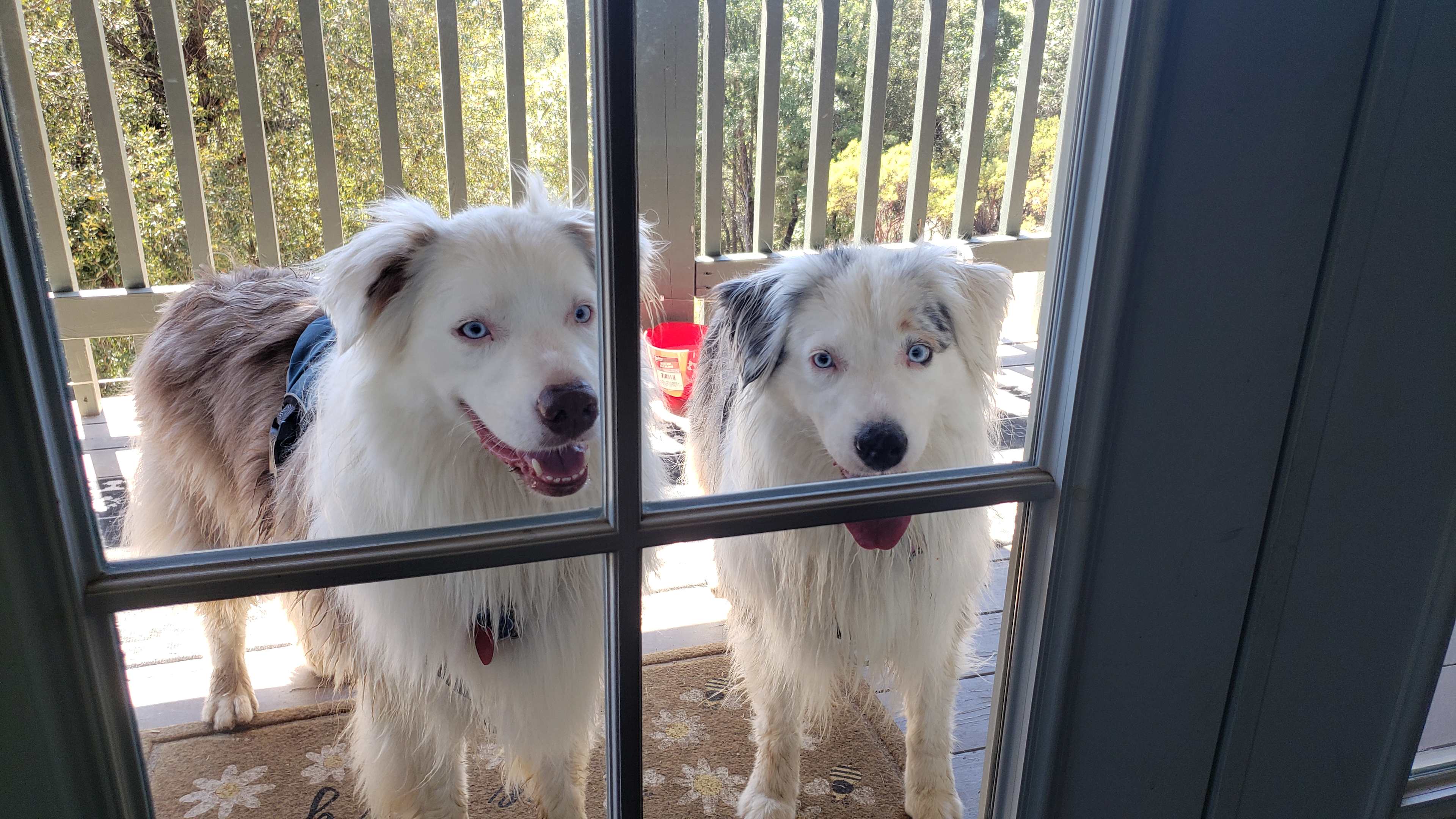 Rollins Lake Retreats, A/C & WIFI