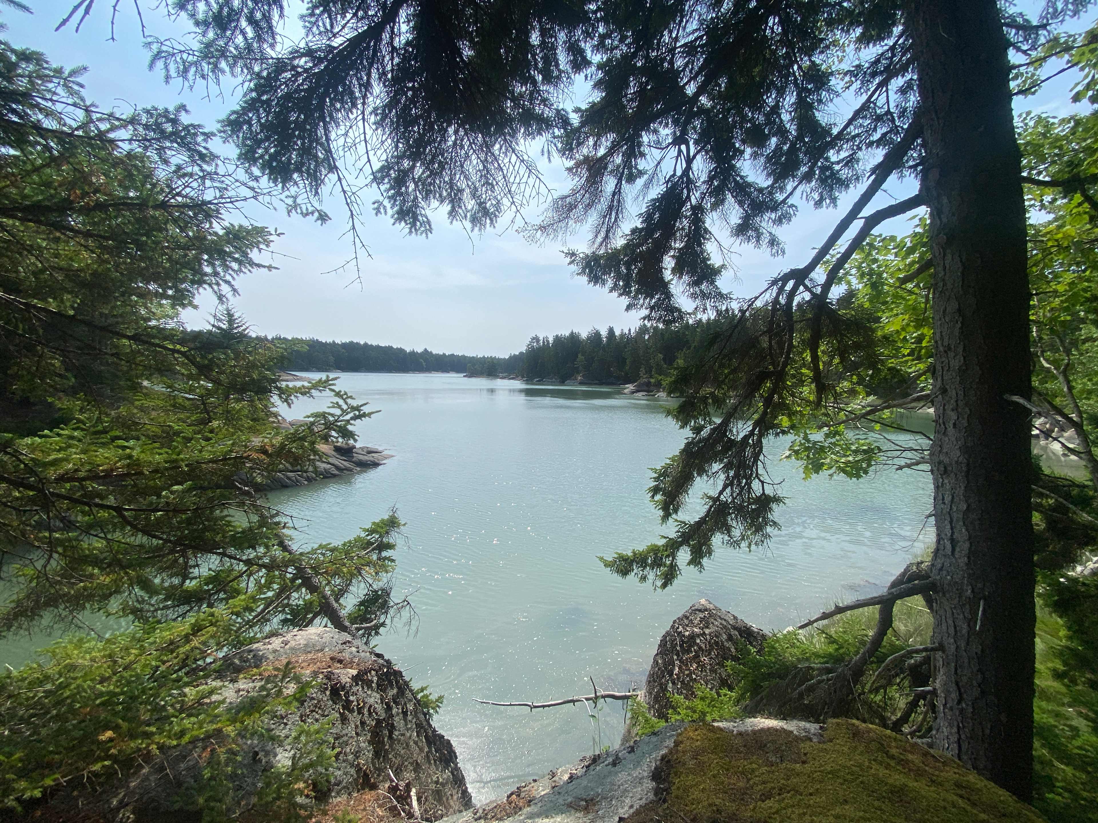 Woodhollow Cove