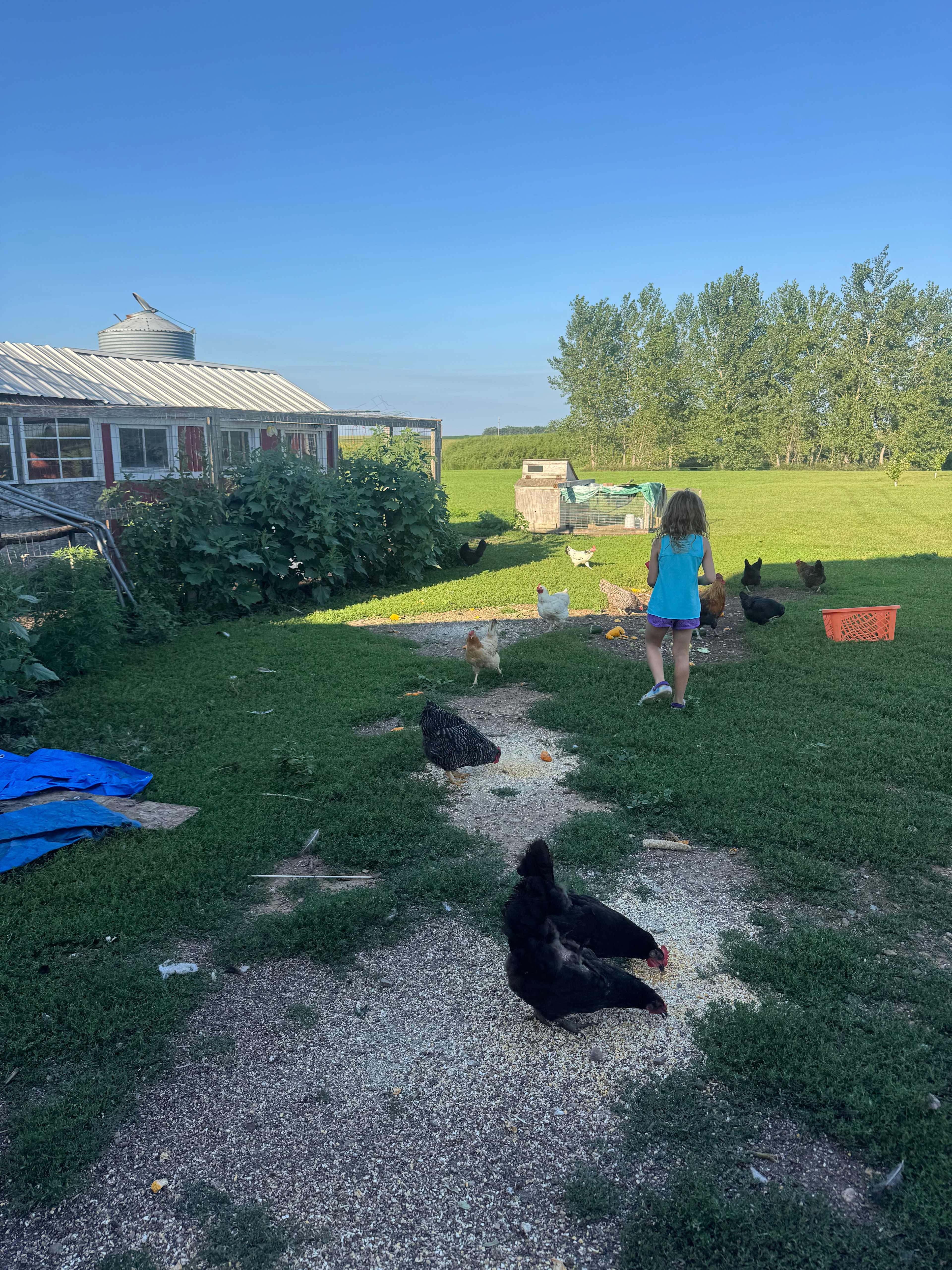 Uncle B's Produce Farm