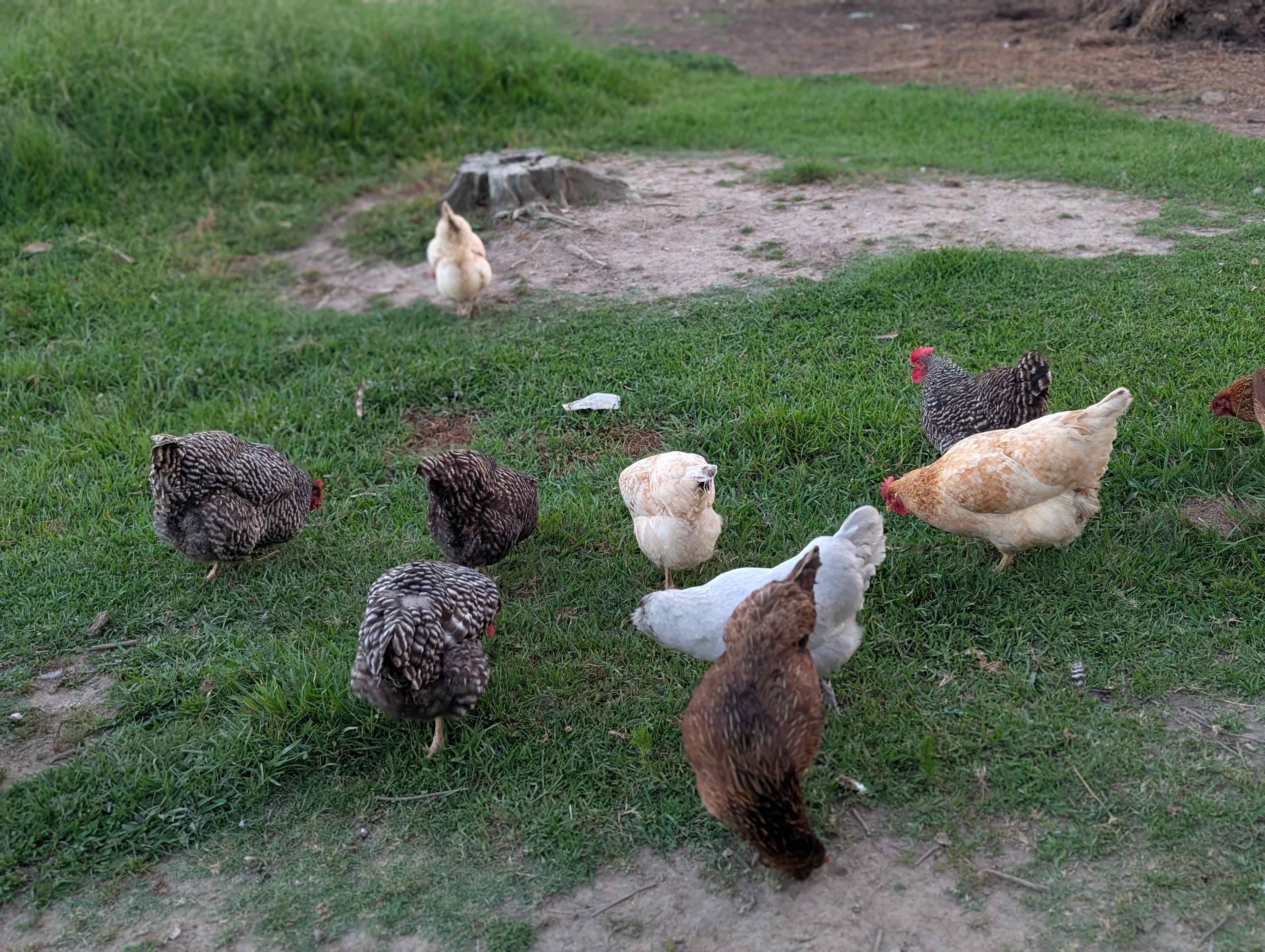 Moon Lake Farm - Camp, Fish, Relax